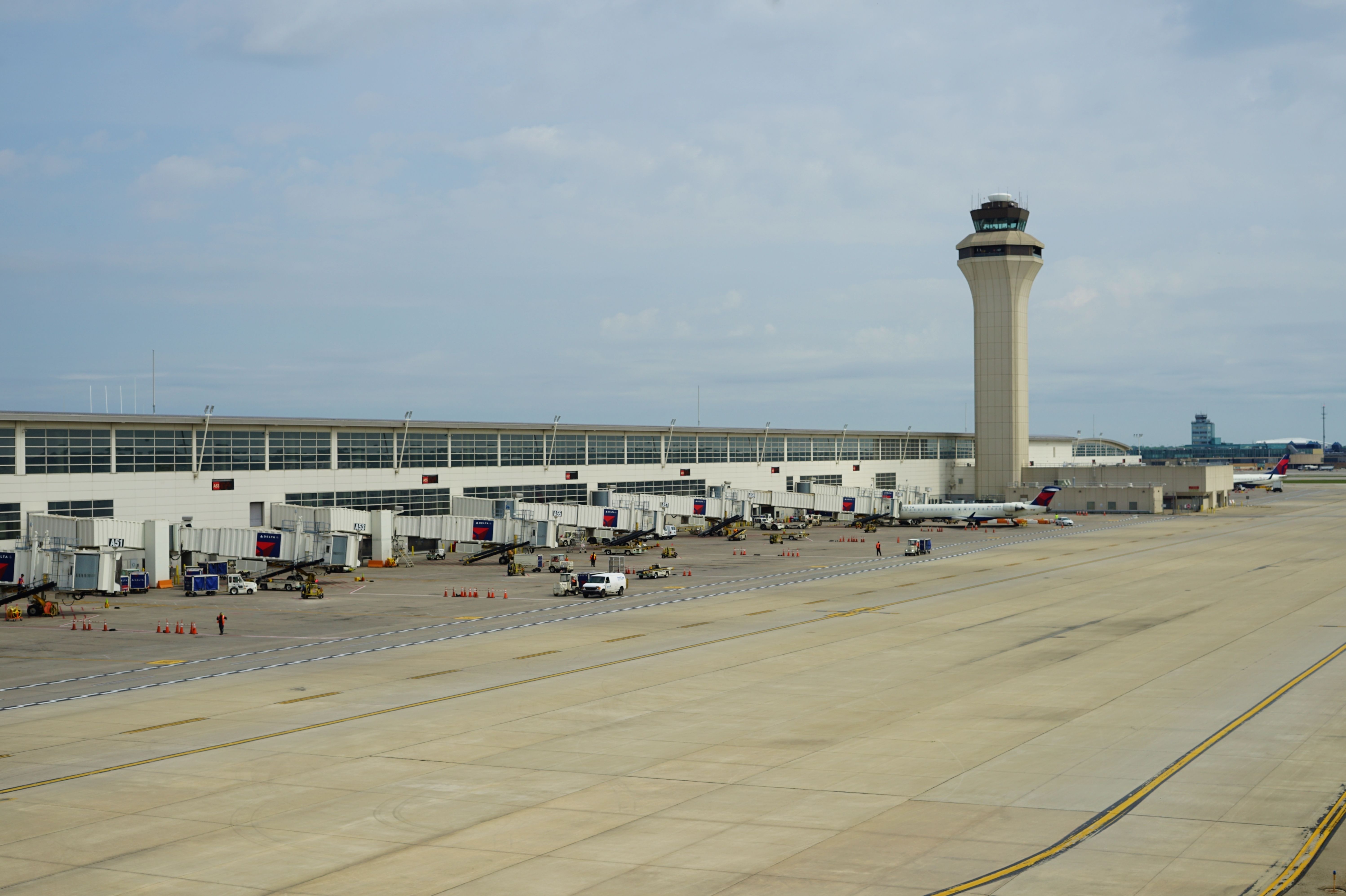 Customs & Border Protection Catch Rare Fruit Fly At Detroit Metropolitan Wayne County Airport