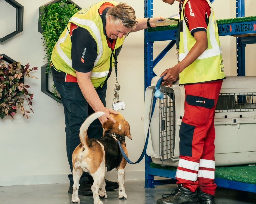 Swissport-Pet-Lounge-at-OR-Tambo-International-Airport