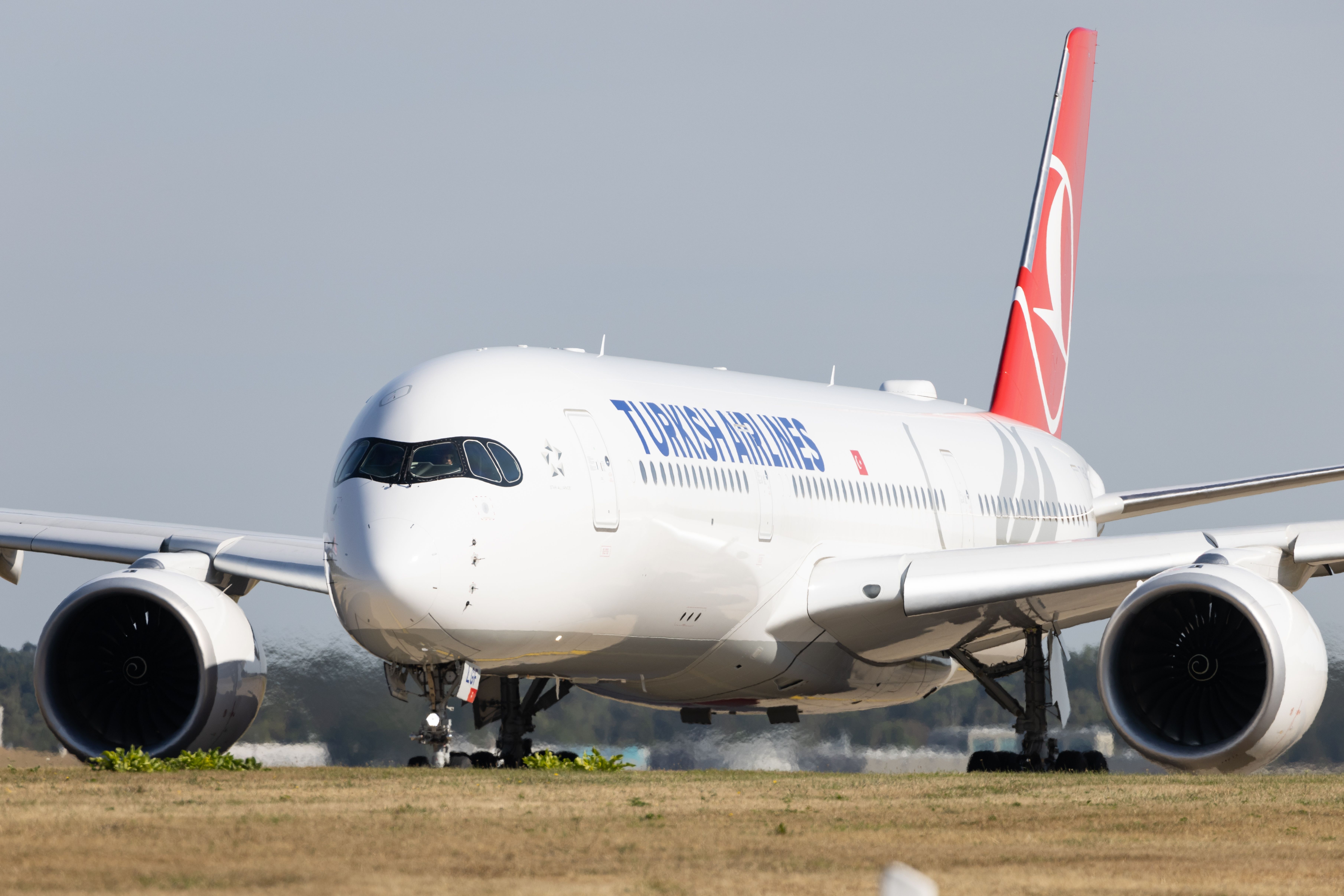 Turkish Airlines Airbus A350-900 at HAM shutterstock_2375854991