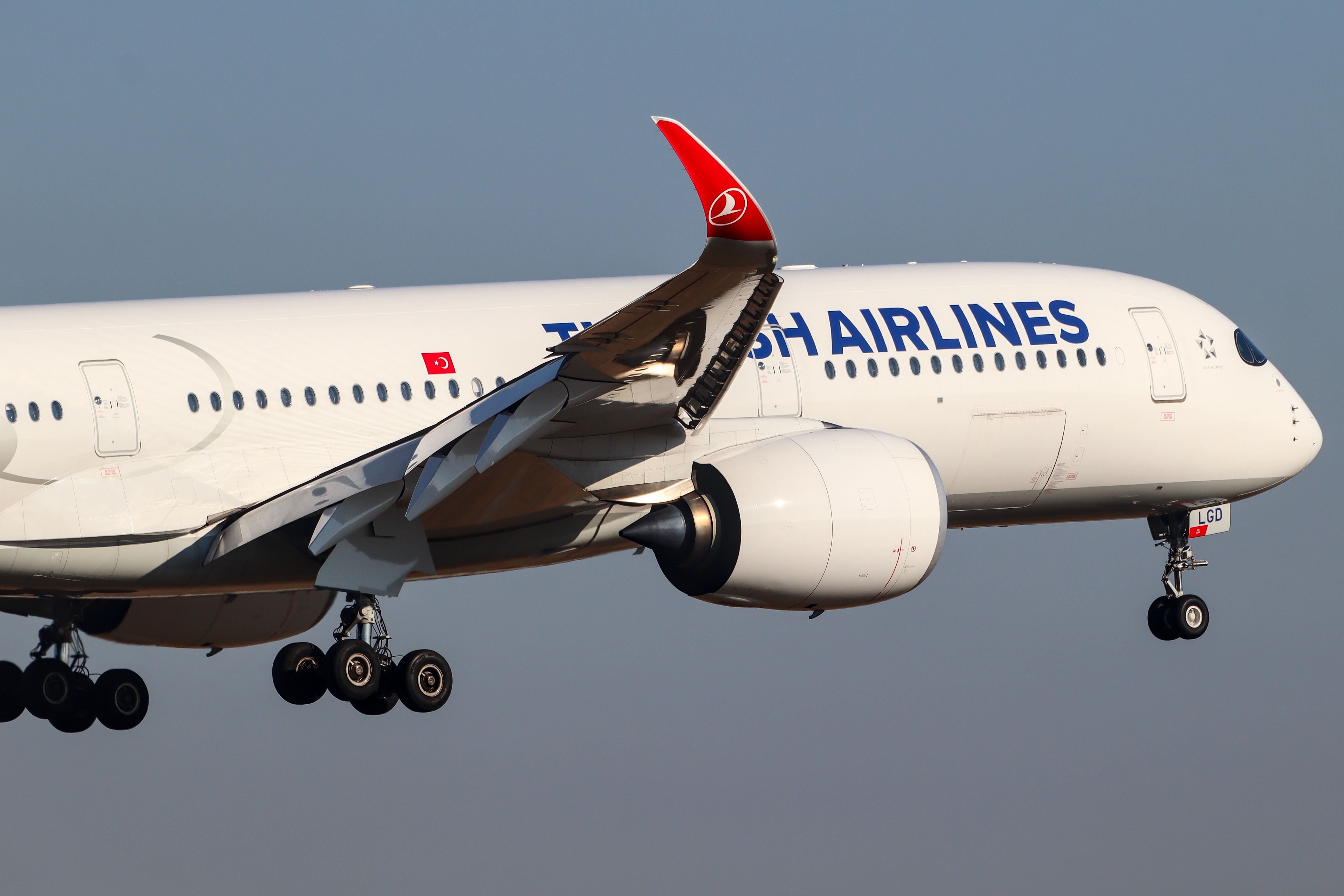 Turkish Airlines Airbus A350-900 landing at BER shutterstock_2300128809