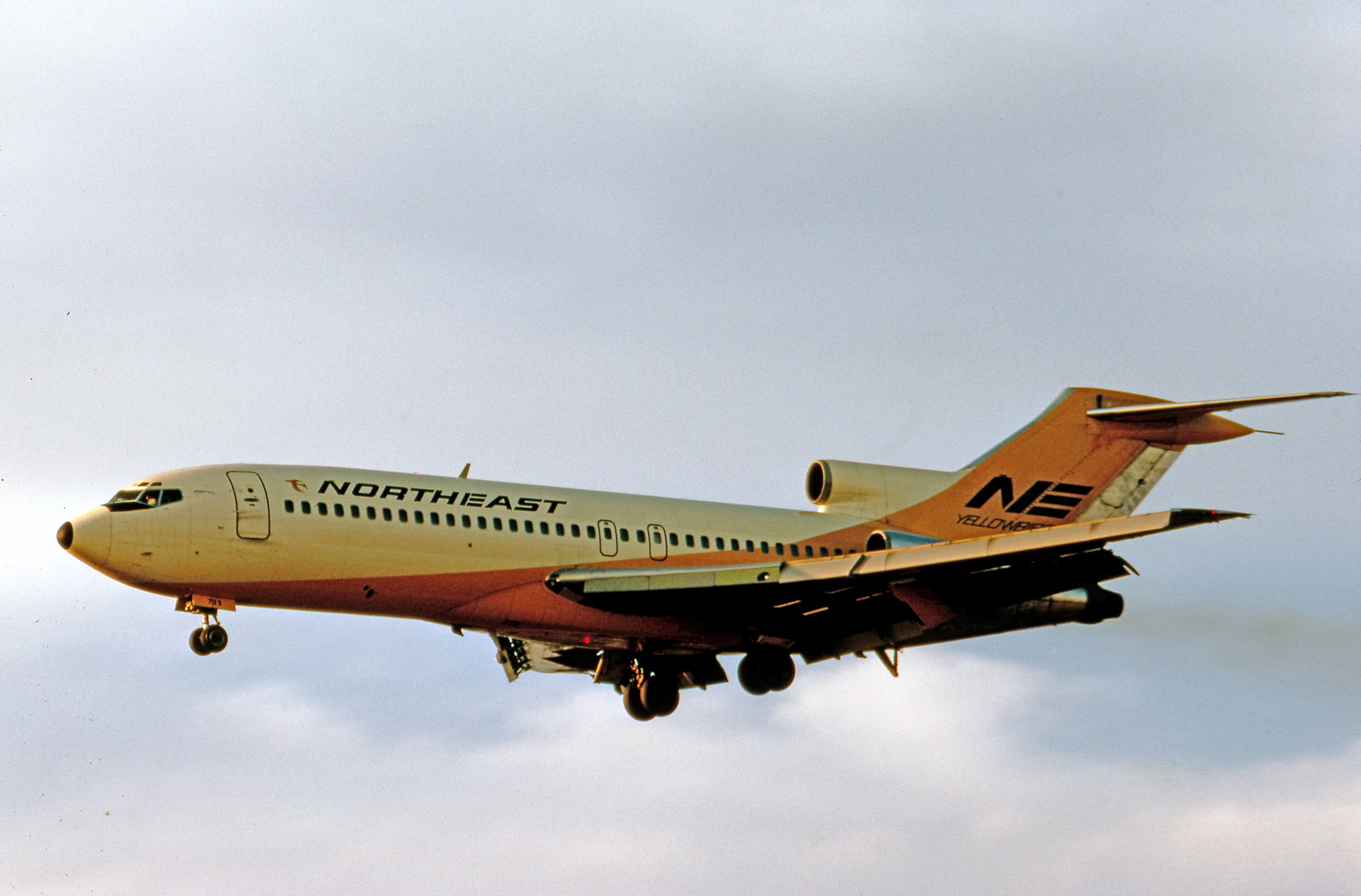 航空機・ヘリコプター NORTHEAST yellowbirds Northeast Yellowbird DC-9-31s – DRAW Decal