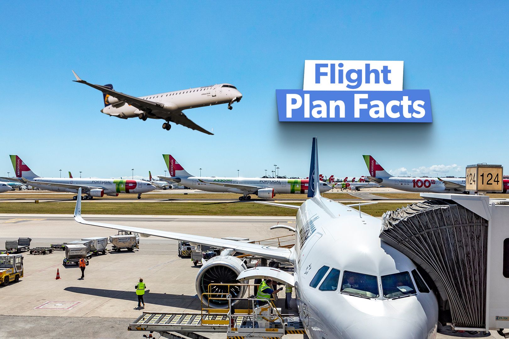 Airline Flight Plans: Examining The Most Important Elements