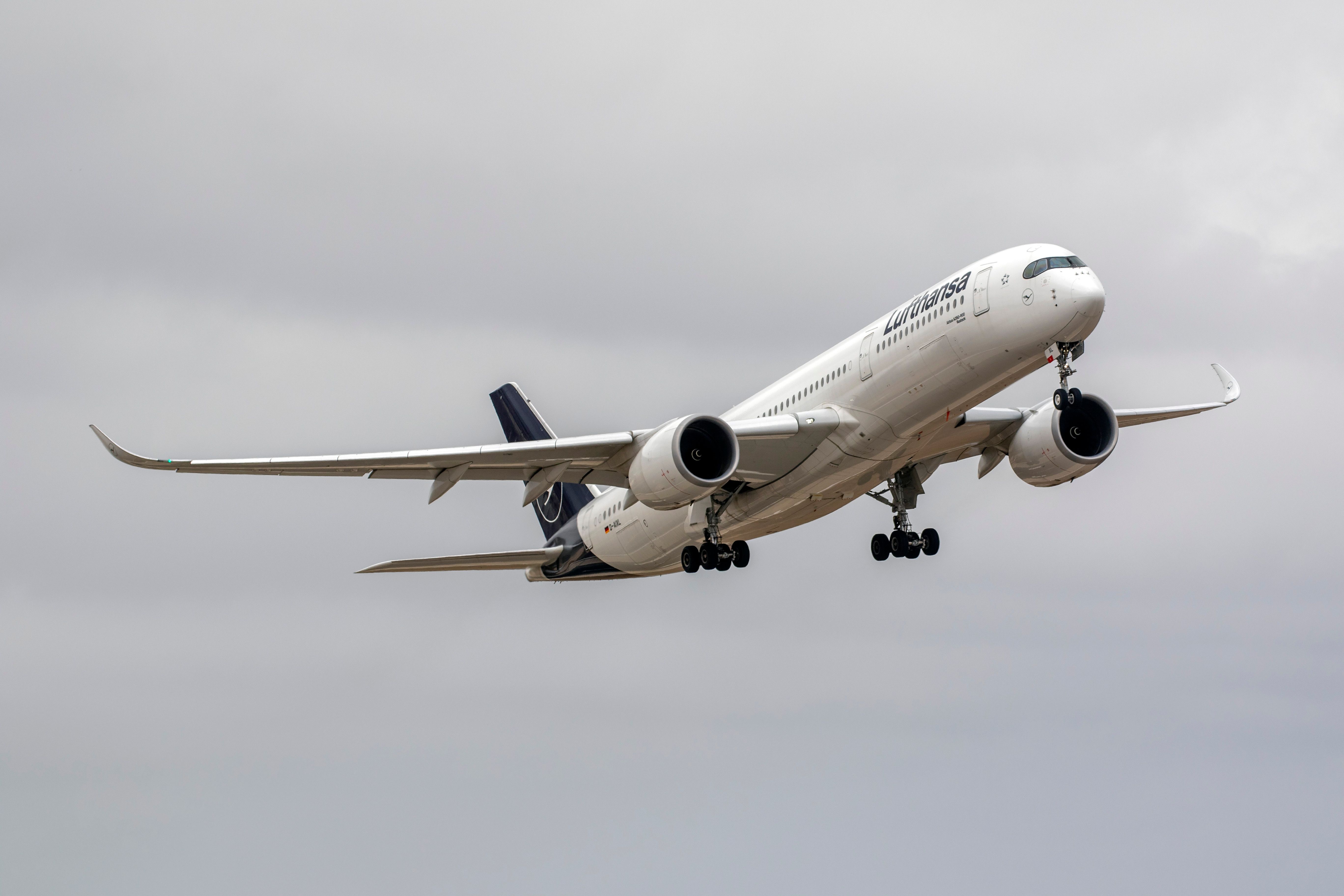 Lufthansa Airbus A350 Inflight