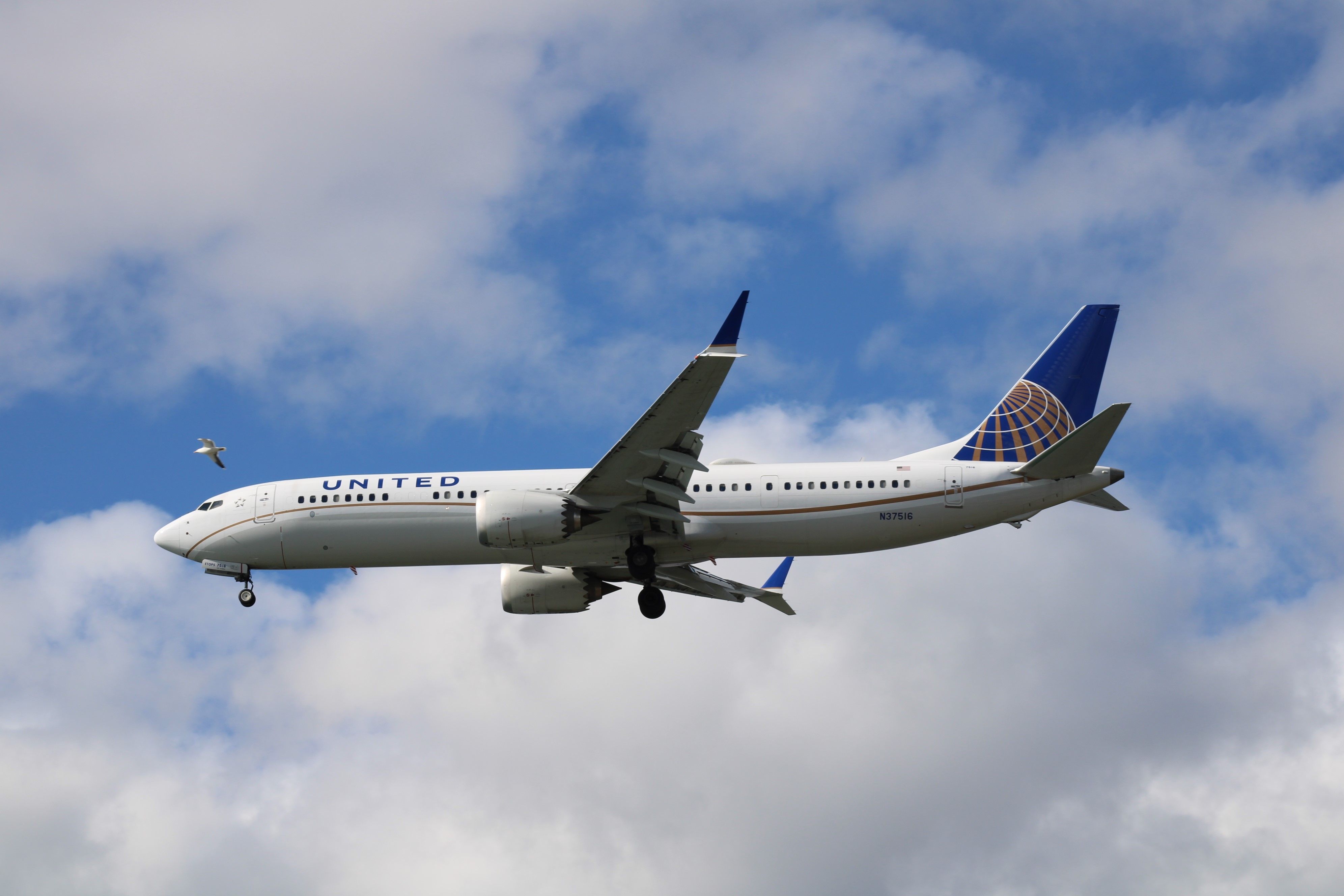 A United Airlines Boeing 737 MAX 9 