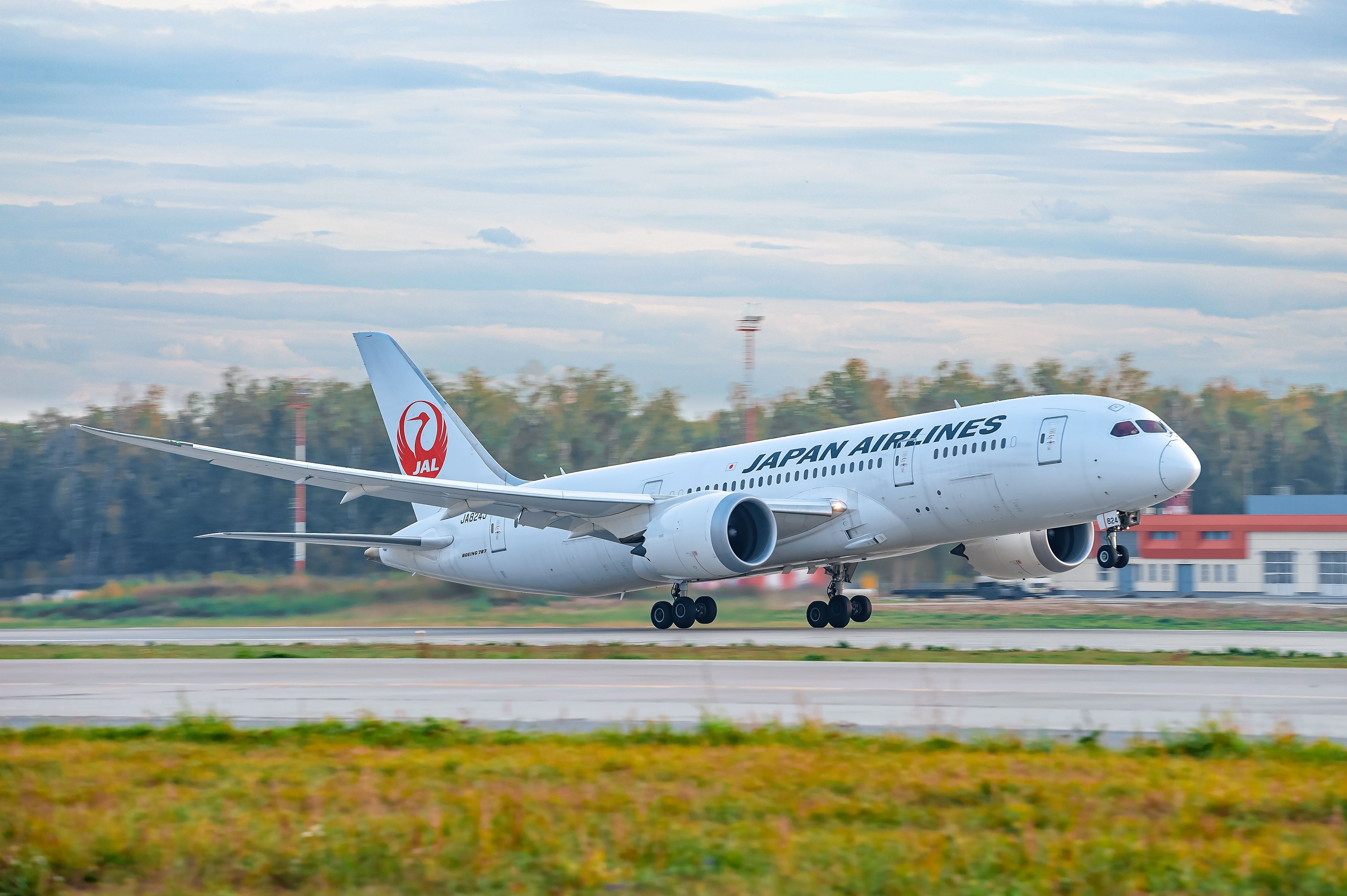 JAL Boeing 787 Landing In Moscow