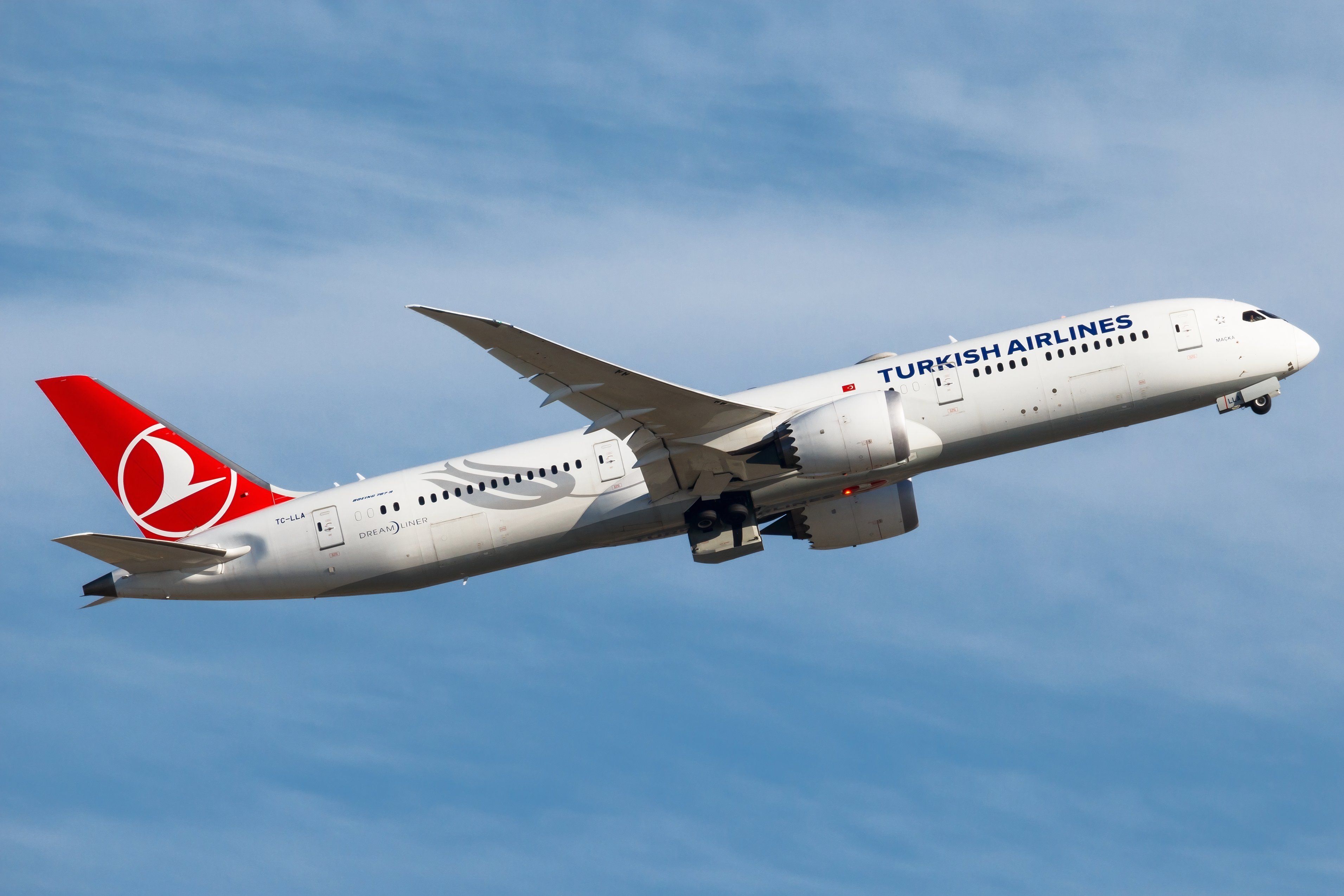 Turkish Airlines 787-9 shutterstock_2267670979 (1)