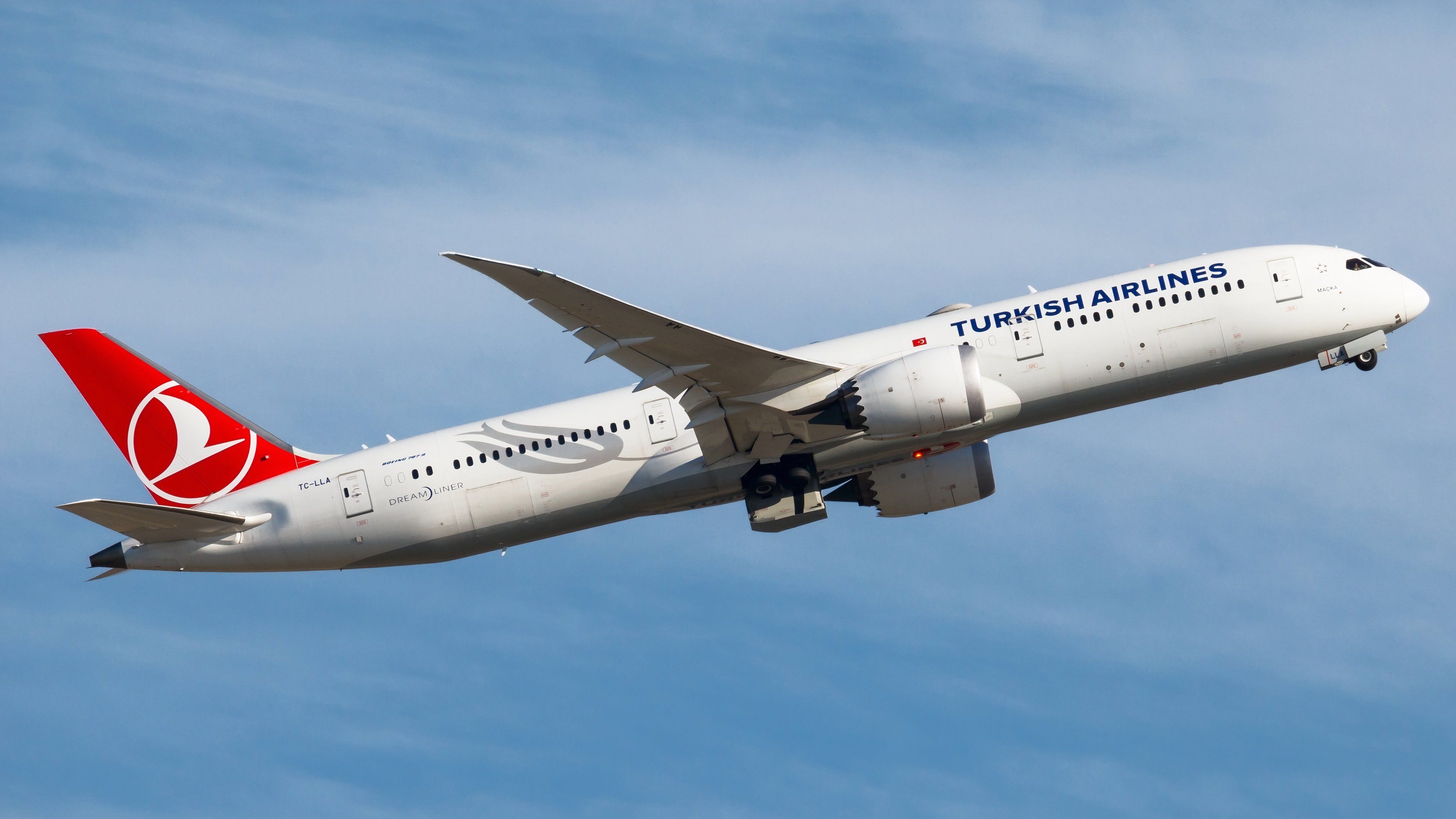 Turkish Airlines Boeing 787-9 shutterstock_2267670979