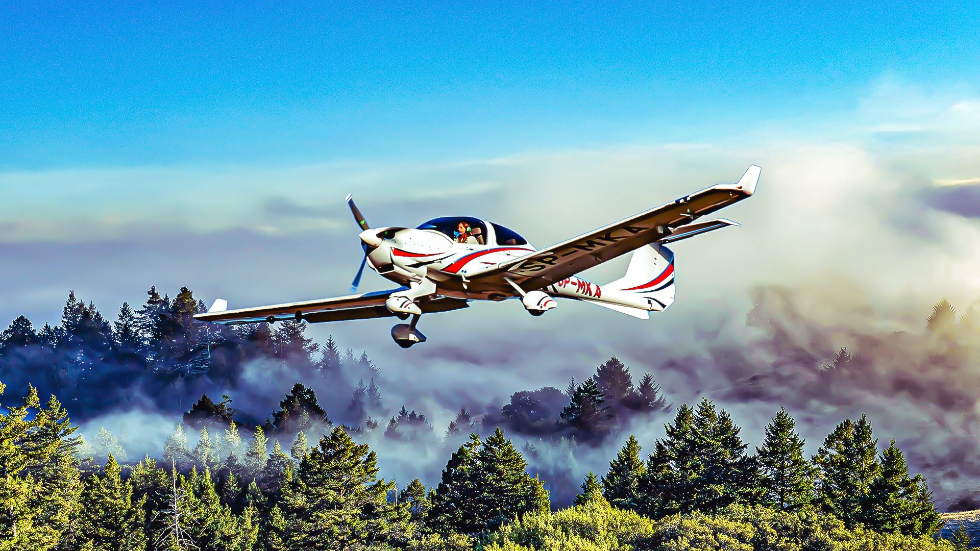 Most Popular Diamond: A Guide To The Diamond DA40 Star