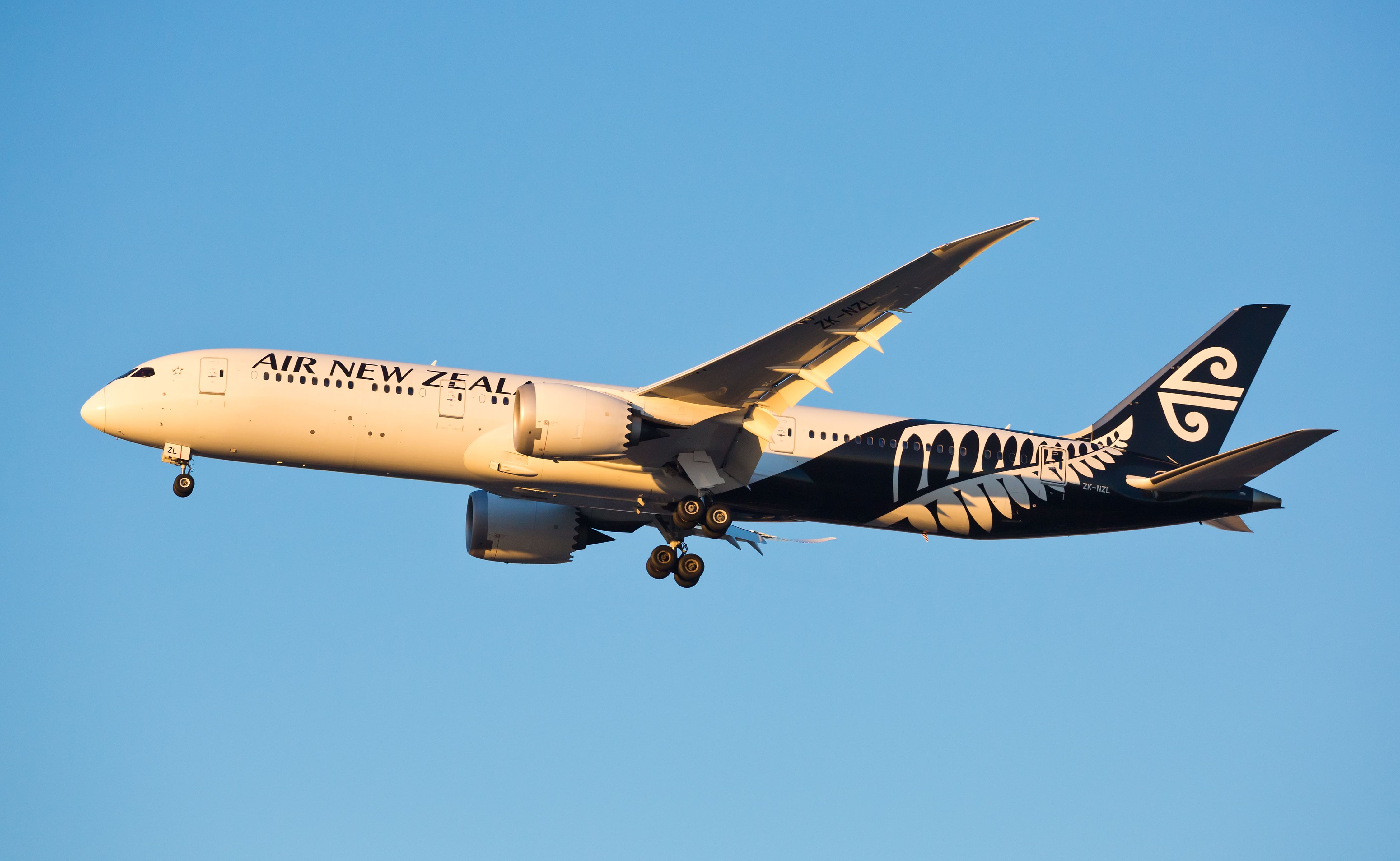 Air New Zealand Boeing 787-9 Inflight