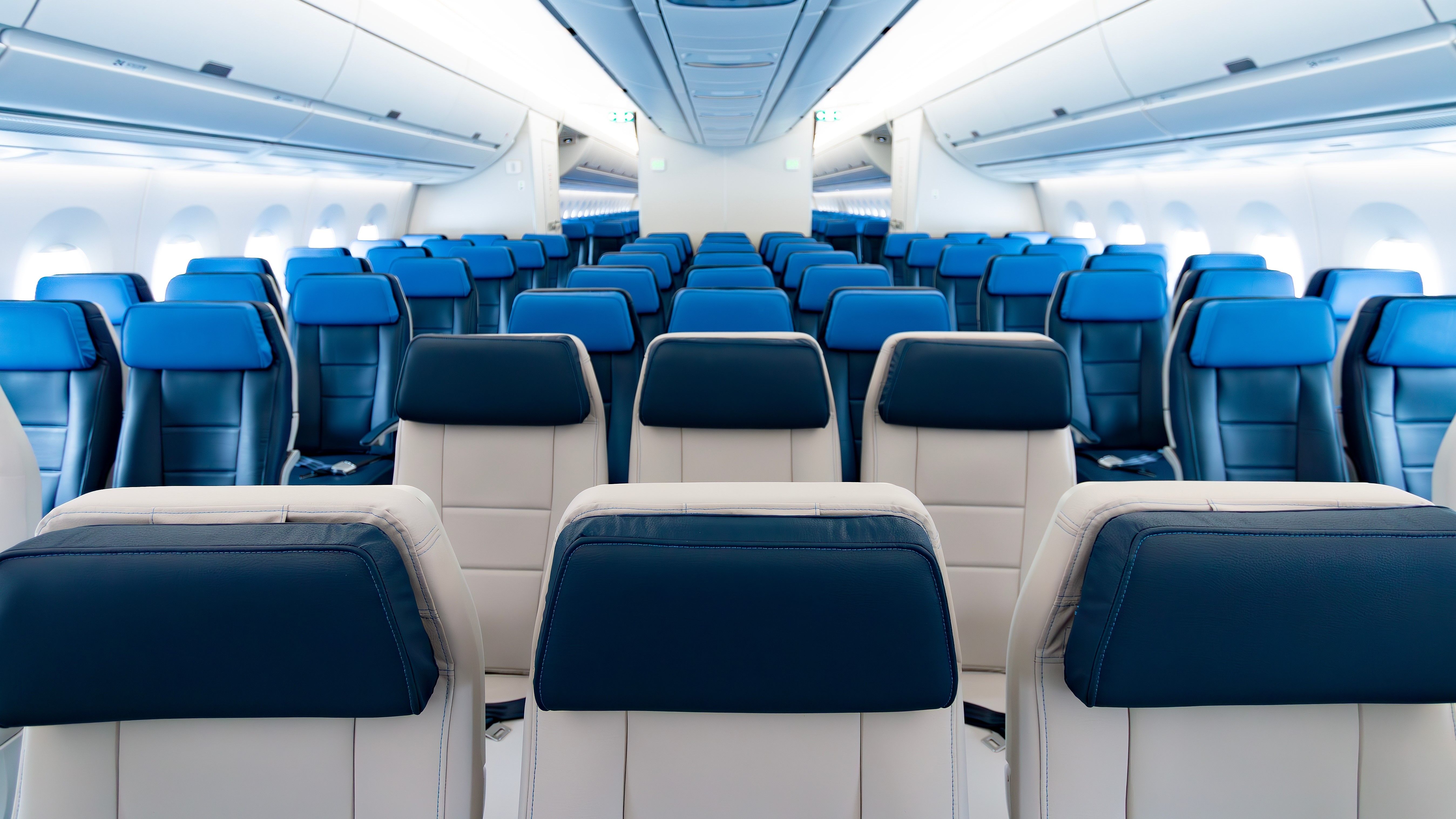 Airplane seats economy