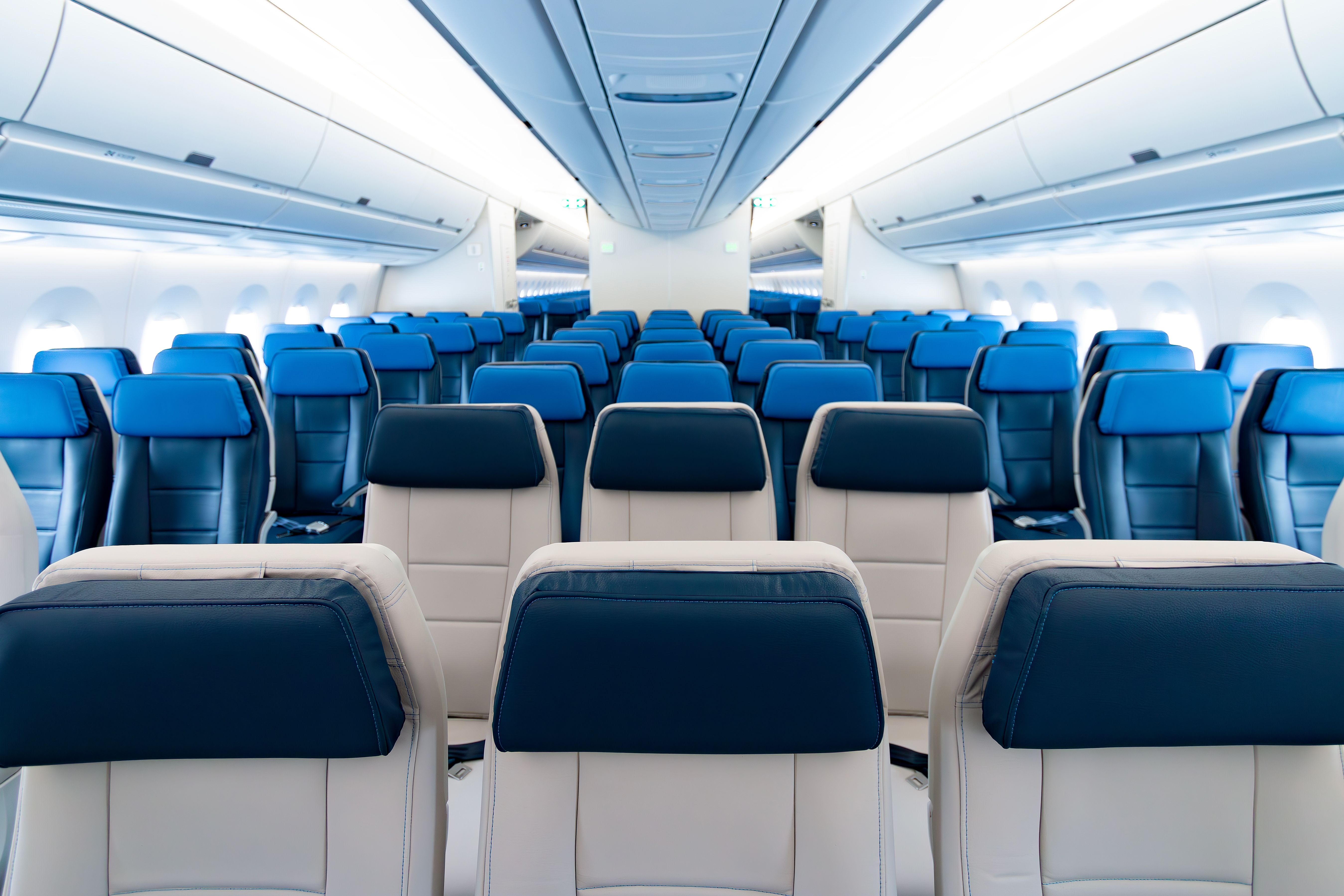 Airplane seats economy