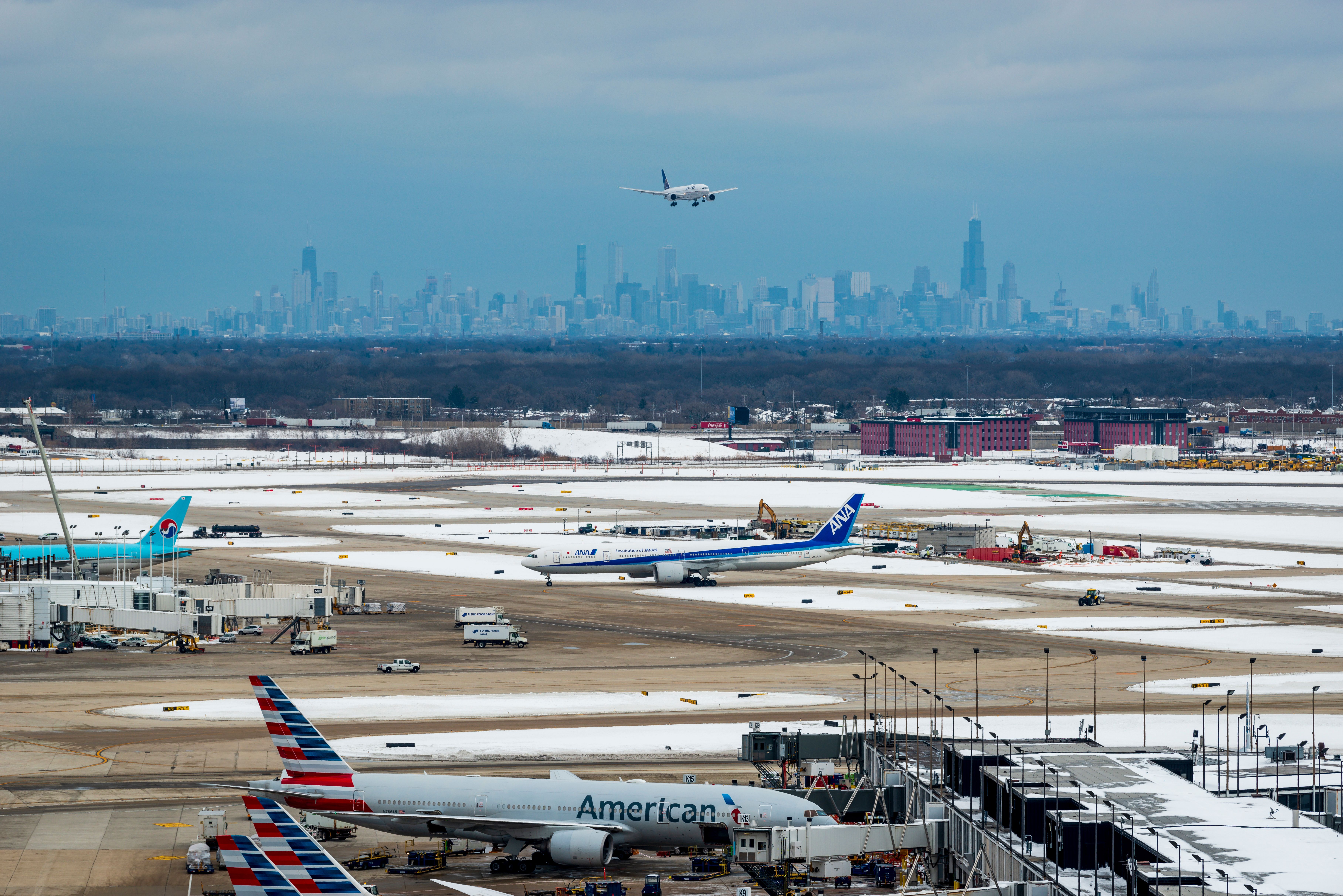 American Airlines, ANA, and Korean Air at Chicago O'Hare