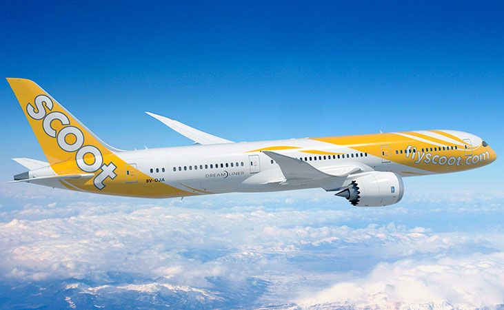 PPC Holland｜FLY Scootスクート航空｜B787-9｜1:250 - メルカリ
