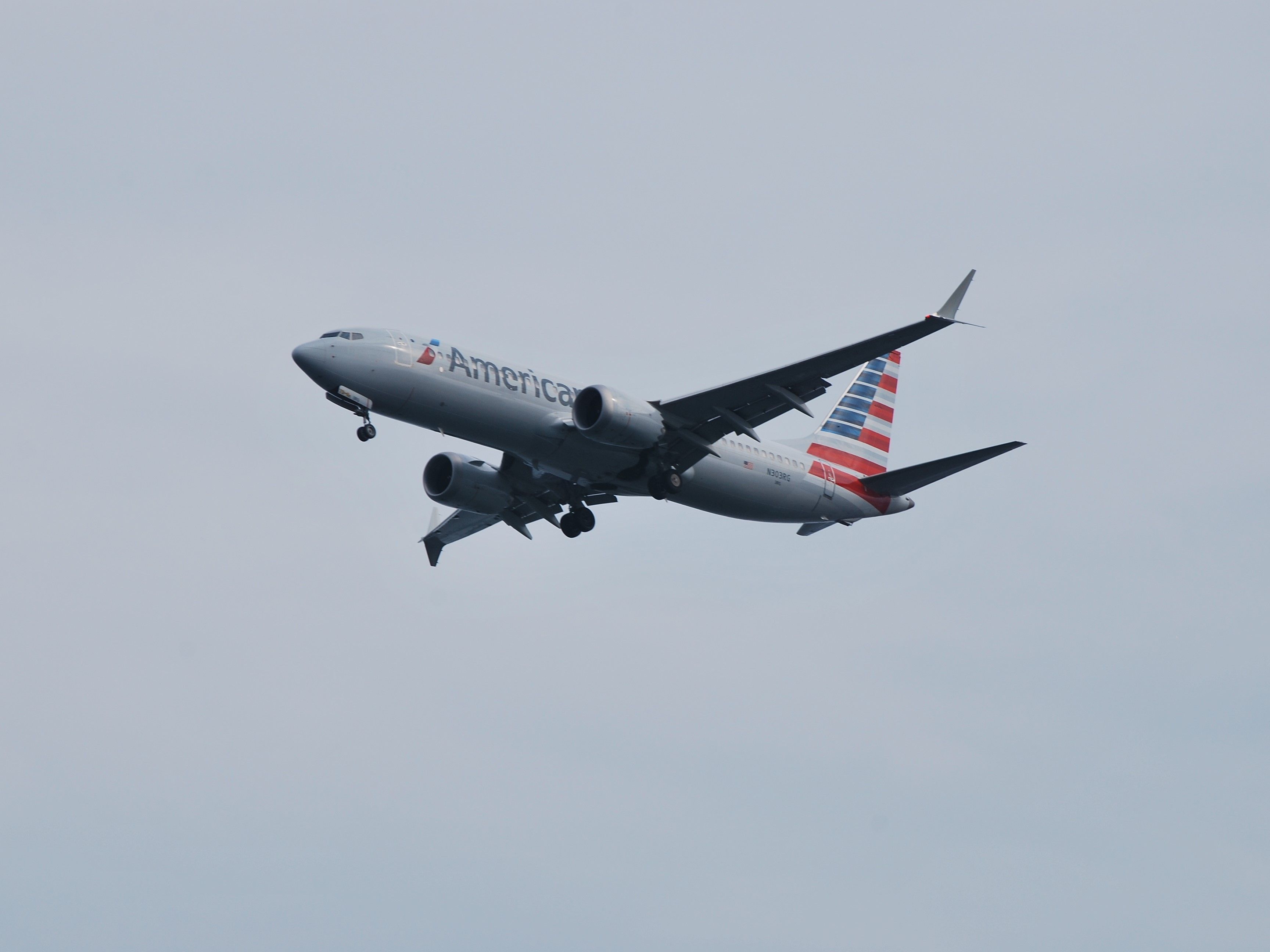 American Airlines Boeing 737 MAX 8 landing at Boston Logan International Airport BOS shutterstock_2093746666