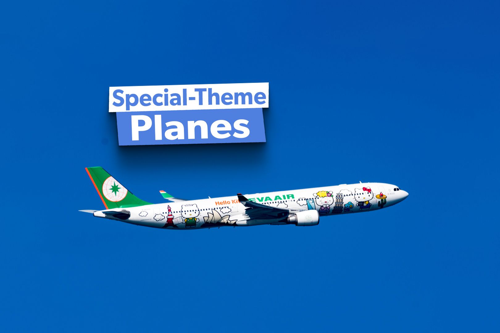 Aircraft special livery