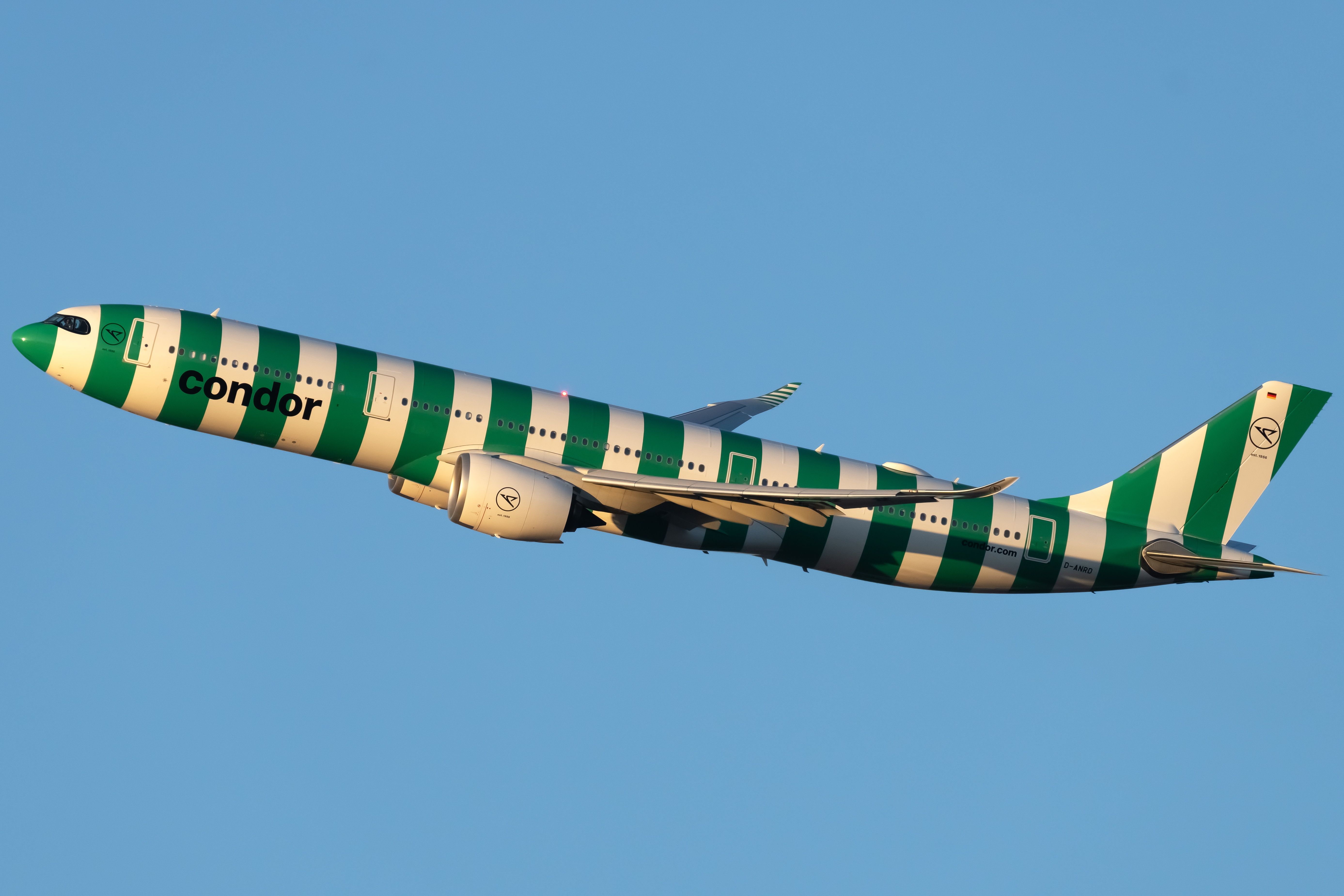 D-Anrd Condor空中客車A330-941（2）裁剪（1）