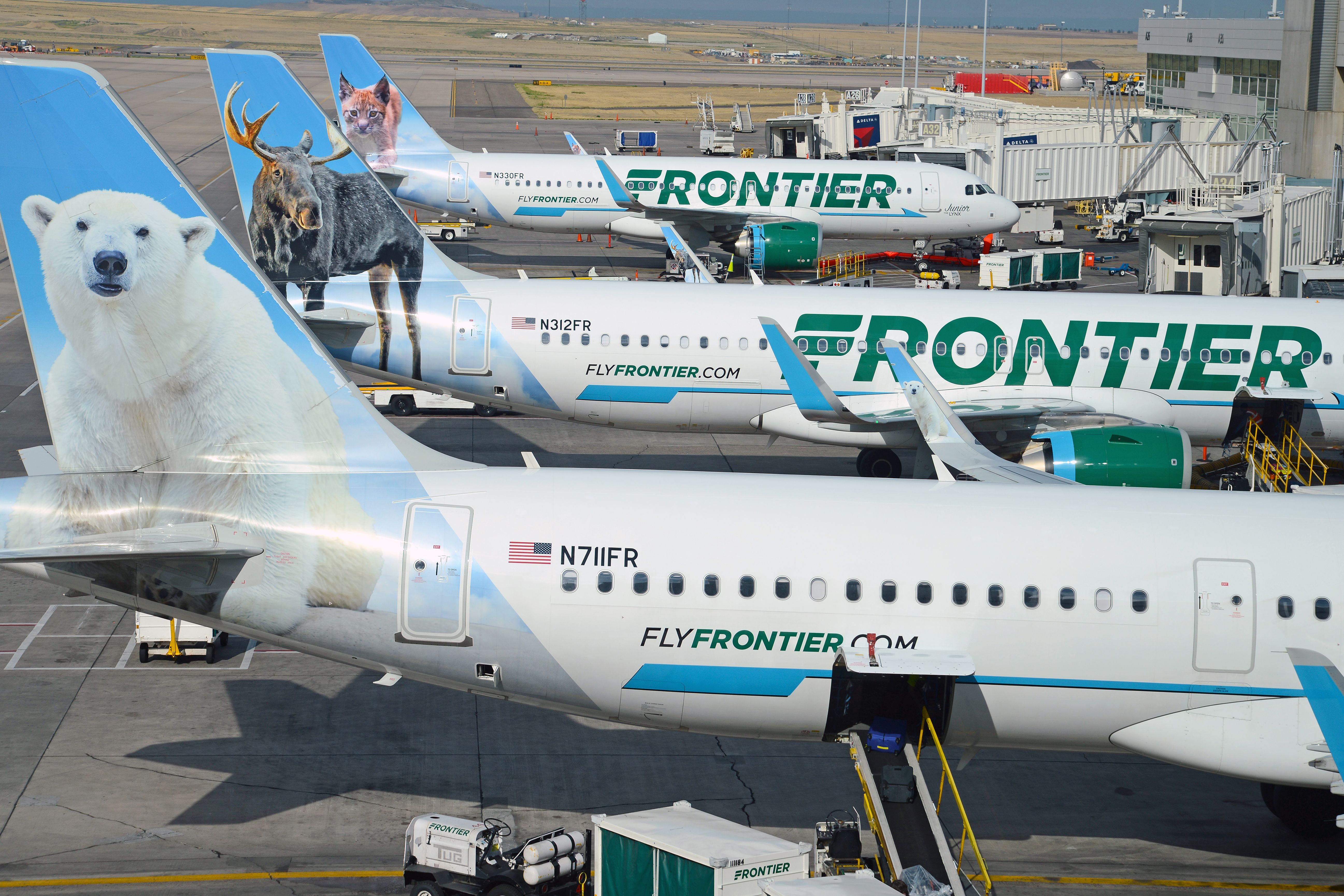 Frontier Airlines aircraft at the gates at Denver International Airport DEN shutterstock_1174889944