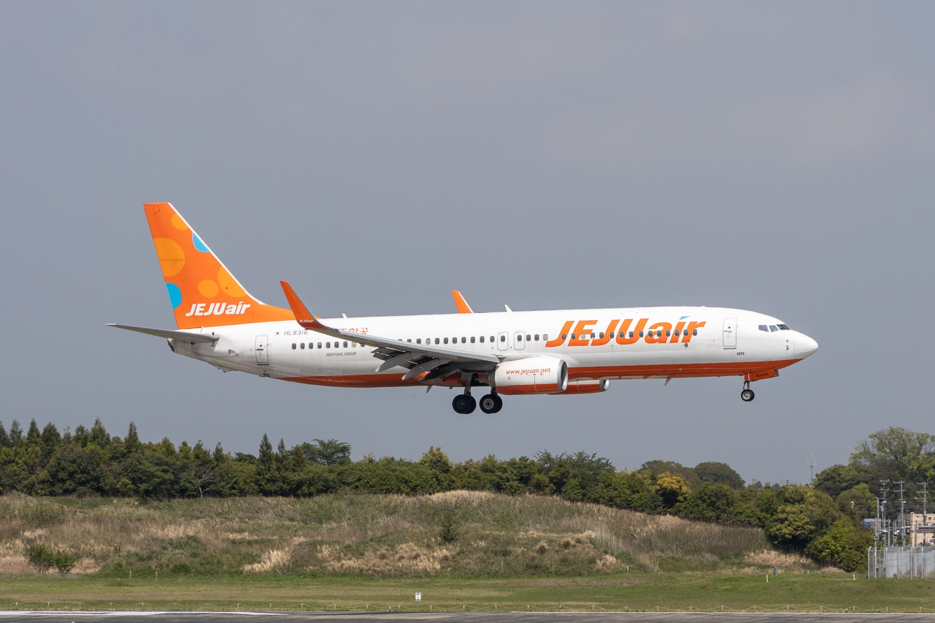 Jeju Air Boeing 737-800 landing at NRT Shutterstock_2292401781