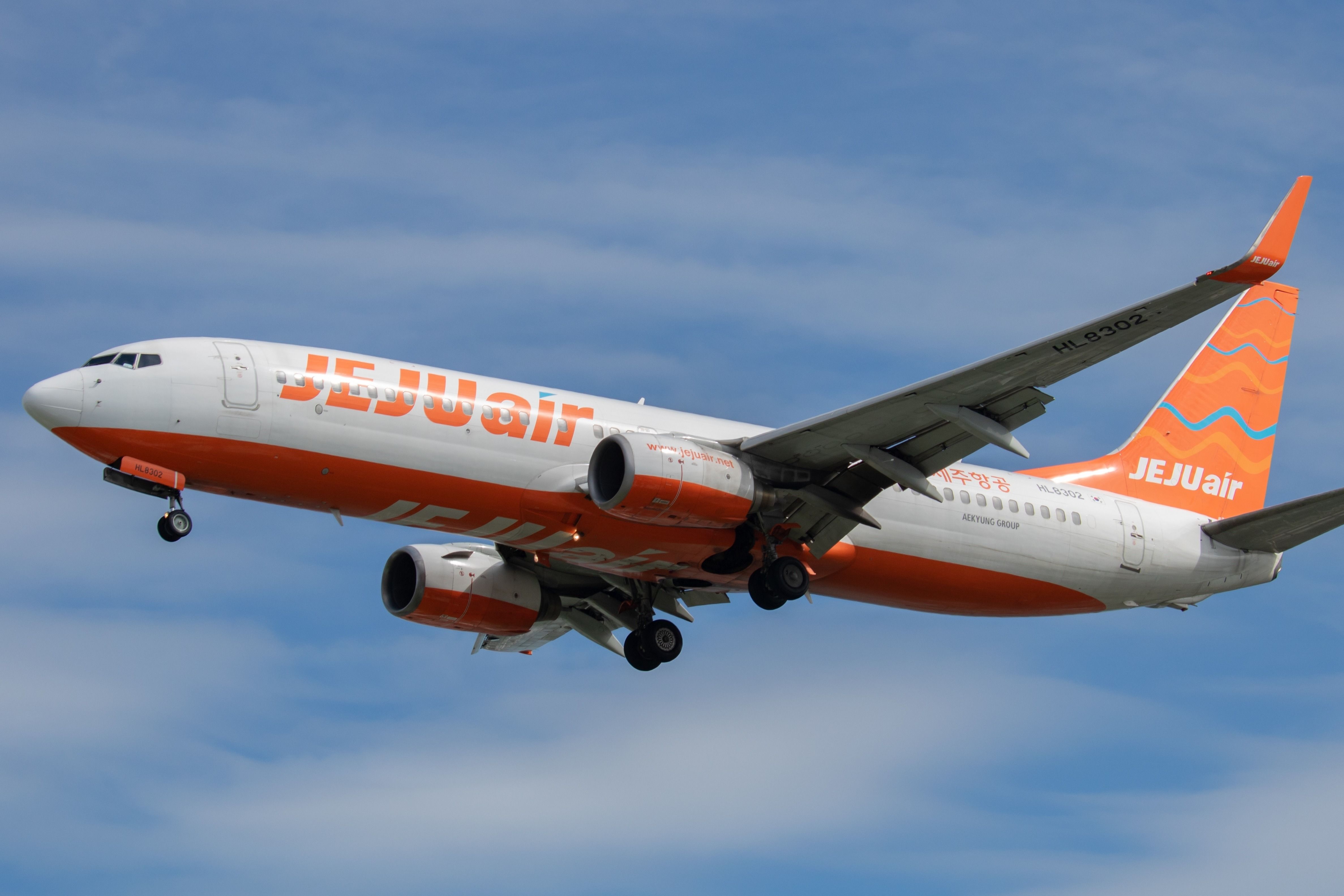 Jeju Air Boeing 737 Struck Flock Of Birds Before Fatal Crash