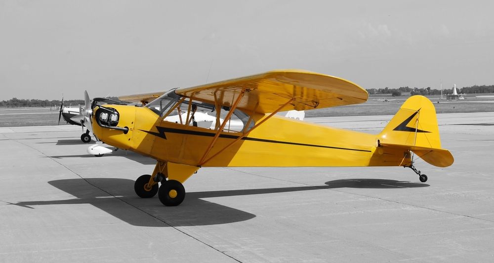 Shutterstock_2354482381