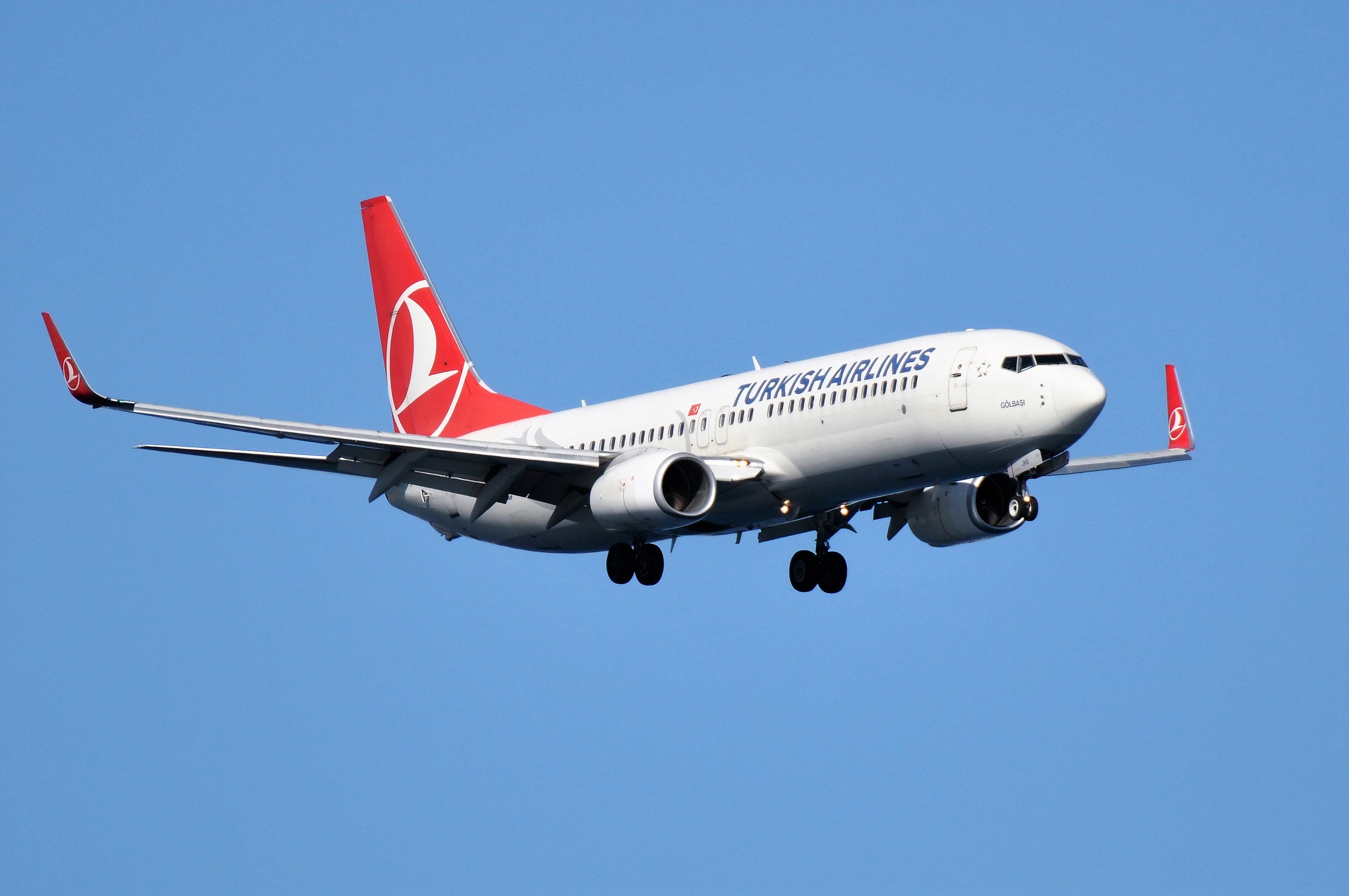 土耳其航空 737-800