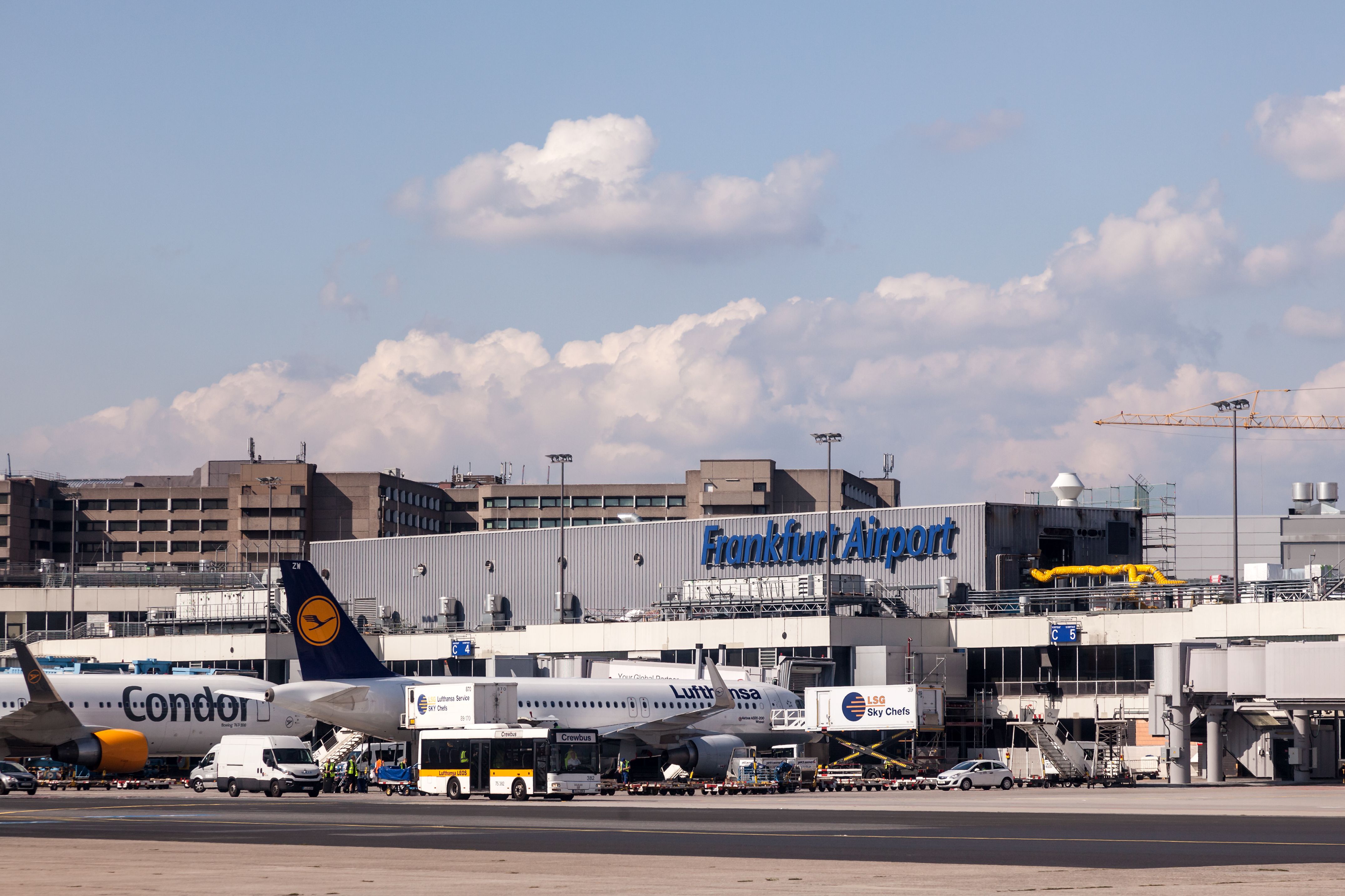 法蘭克福機場FRA Shutterstock_317213873的禿鷹和漢莎航空飛機
