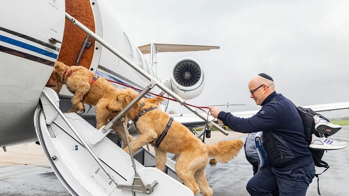 K9Jets-Boarding