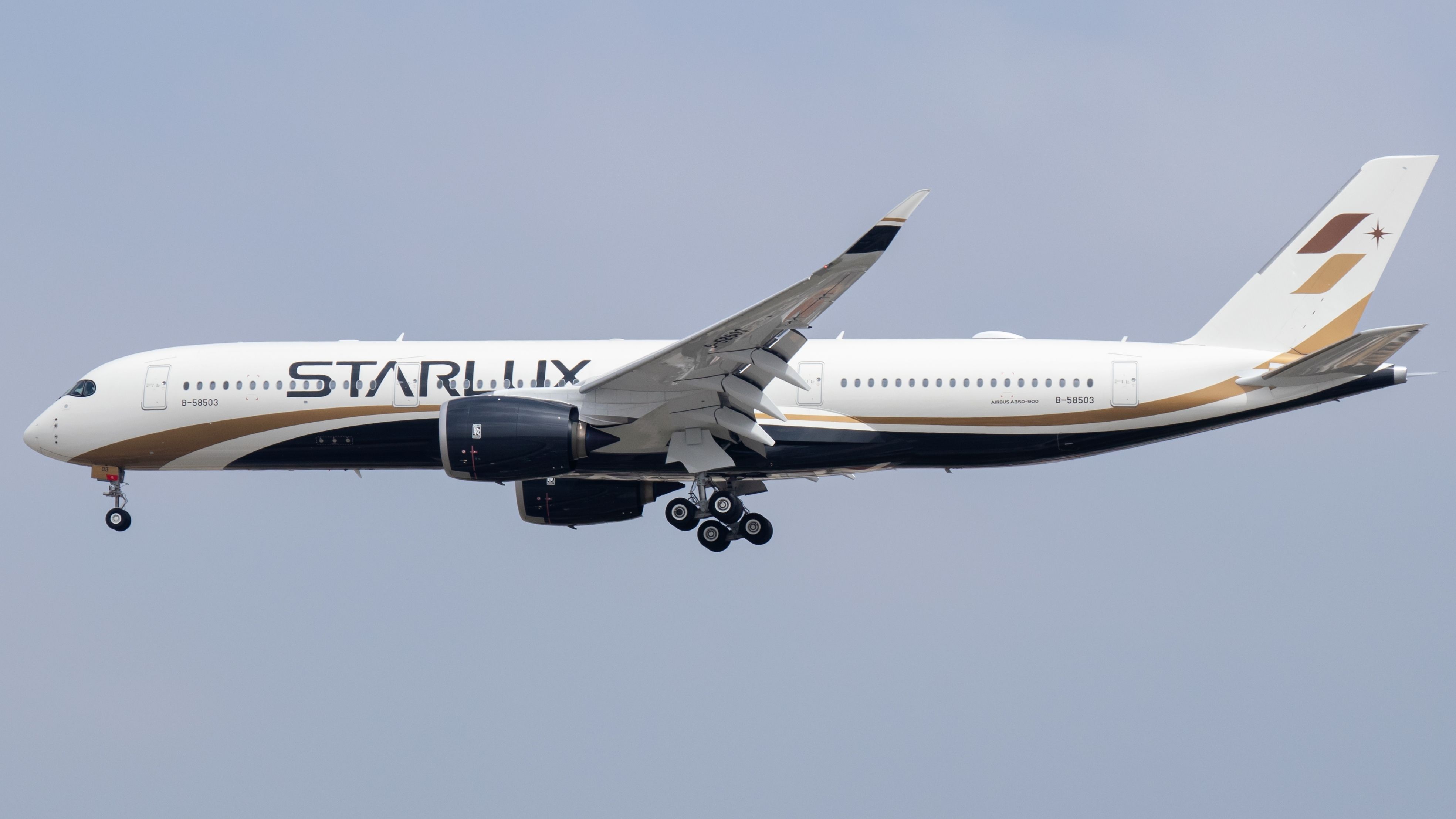 The 10 Largest Airbus A330-900 Operators: Passenger