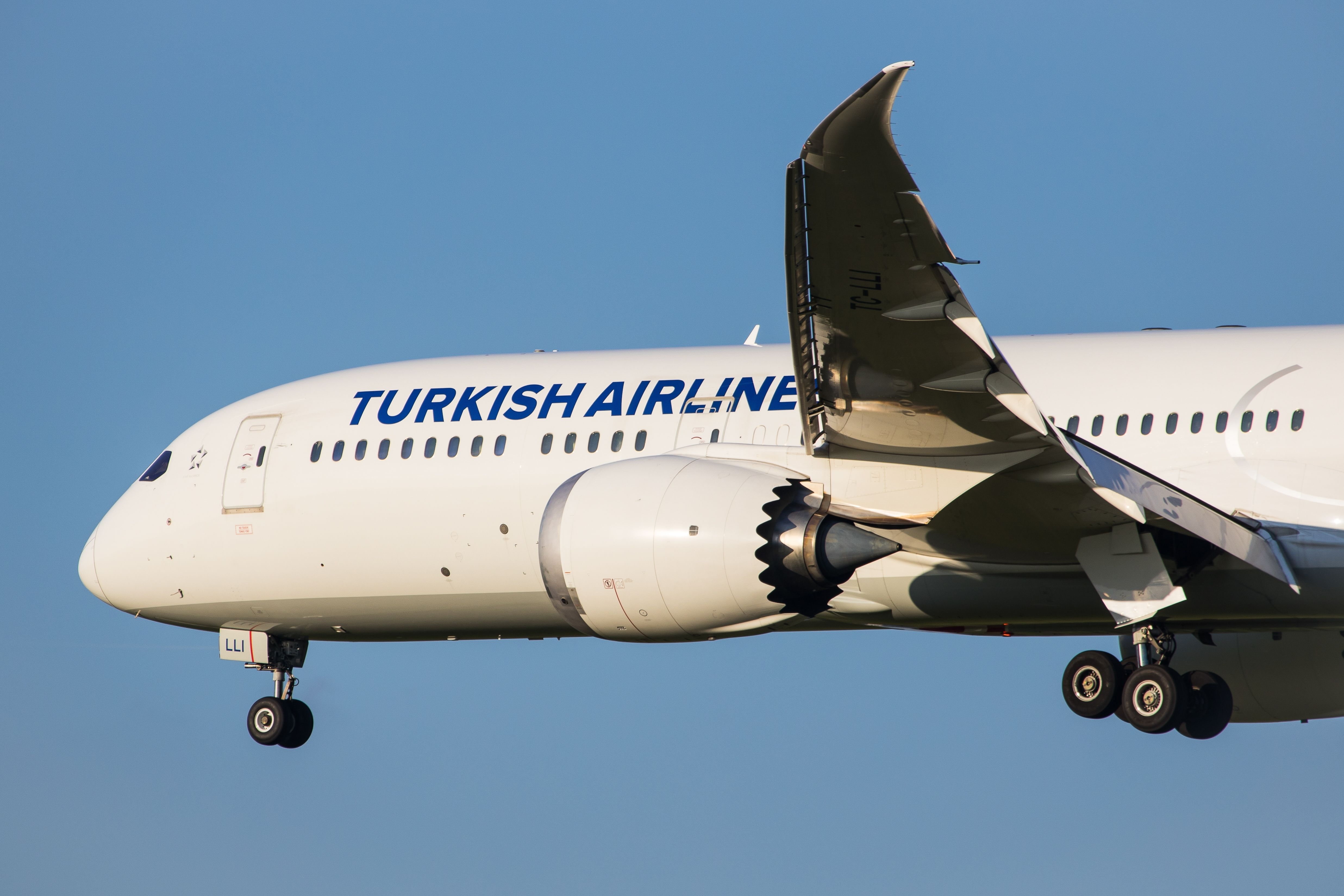 Turkish Airlines Boeing 787-9 landing at VIE shutterstock_2363969039