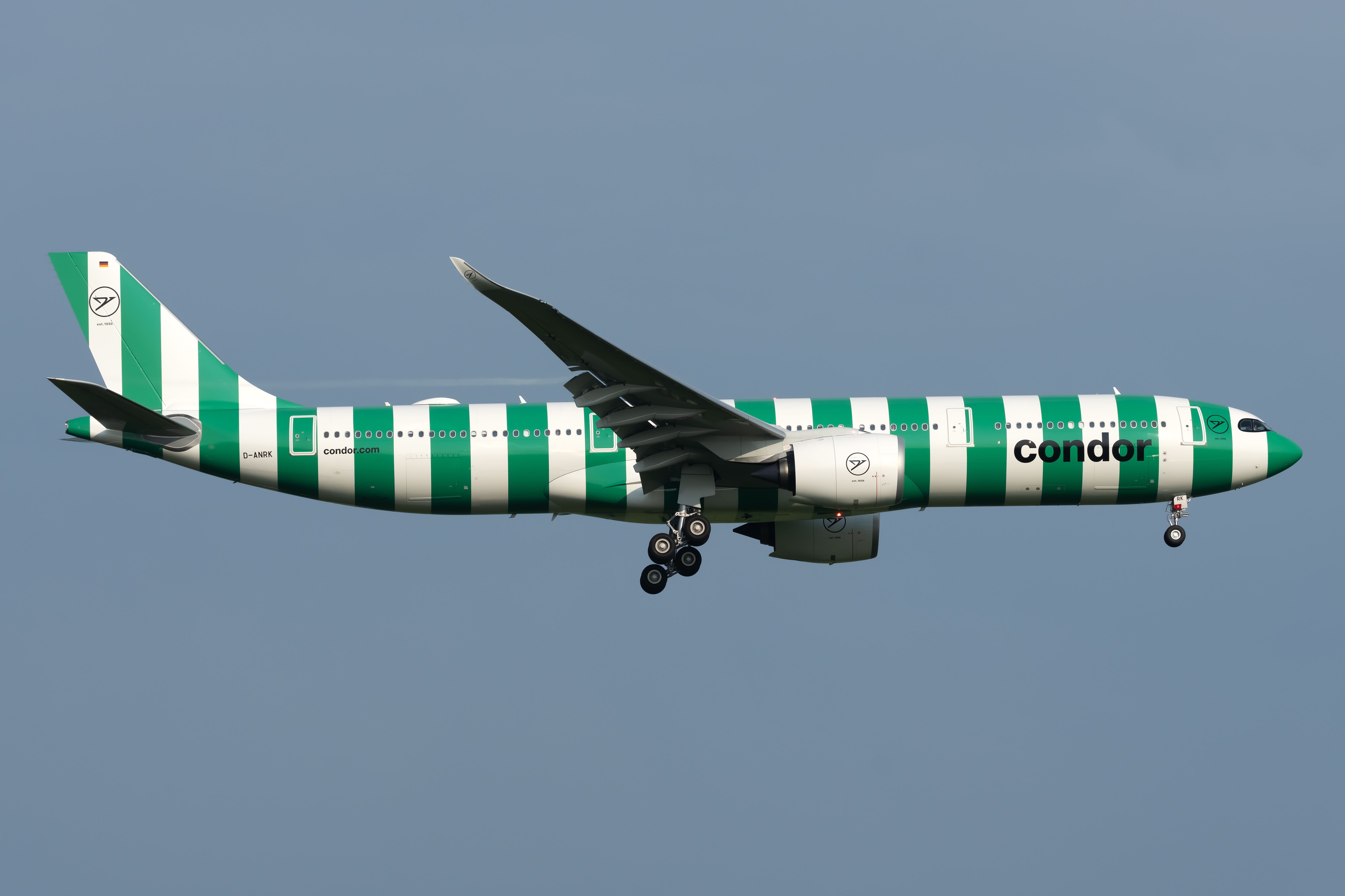 D-anrk禿鷹空中客車A330-941（1）