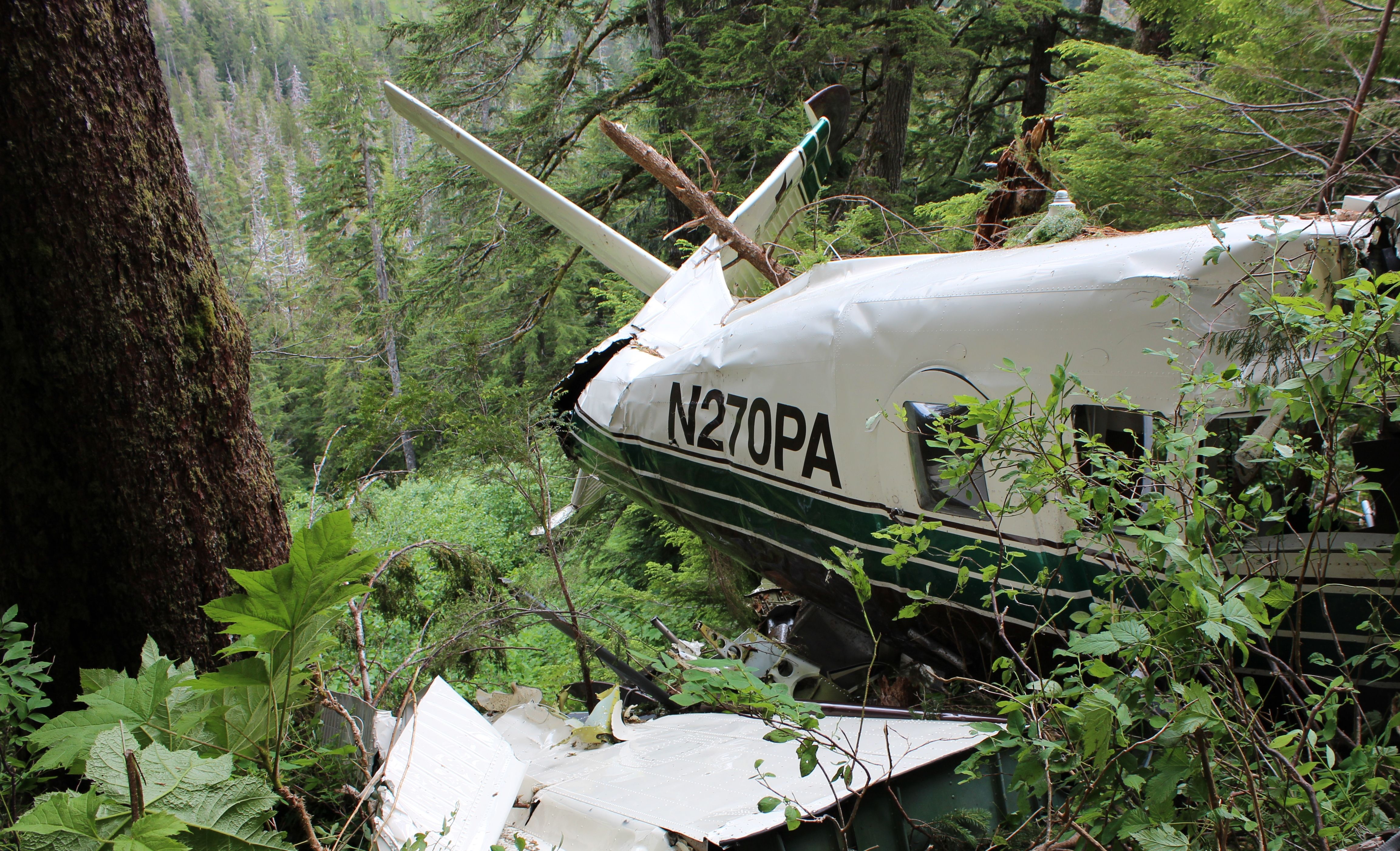 DeHavilland DHC-3T (Turbine Otter) that crashed on June 25, 2015 near Ketchikan, Alaska while on a sightseeing tour.