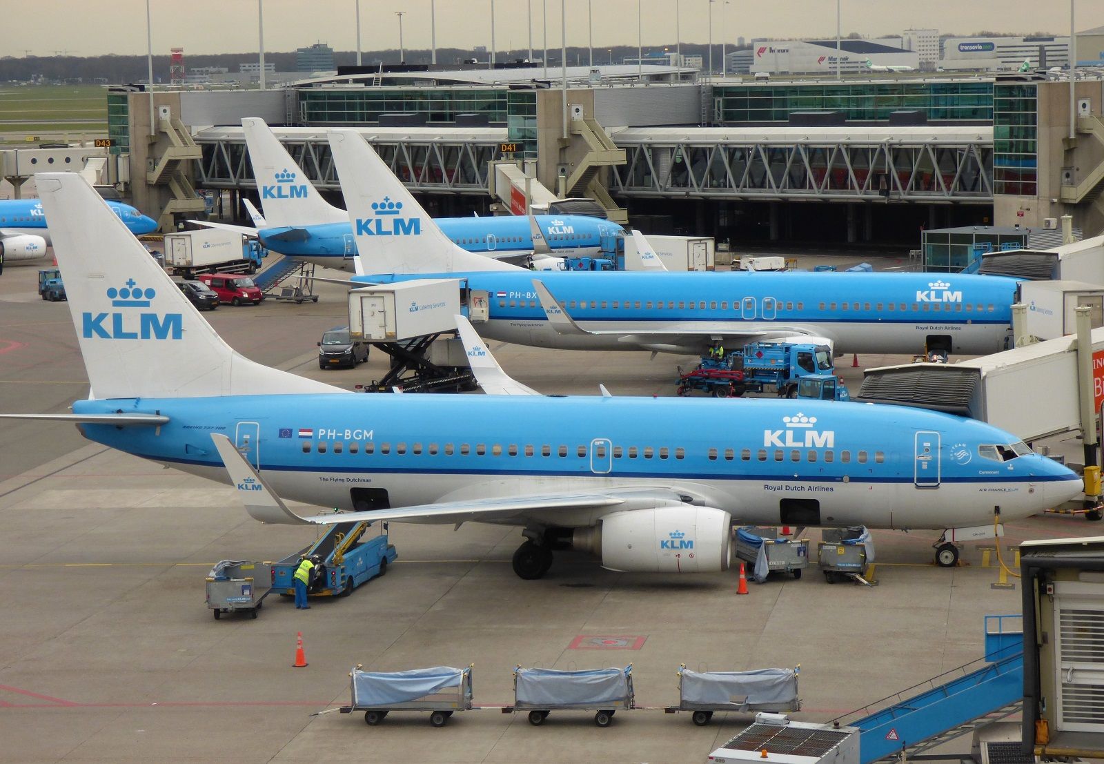 KLM Boeing 737s at Amsterdam