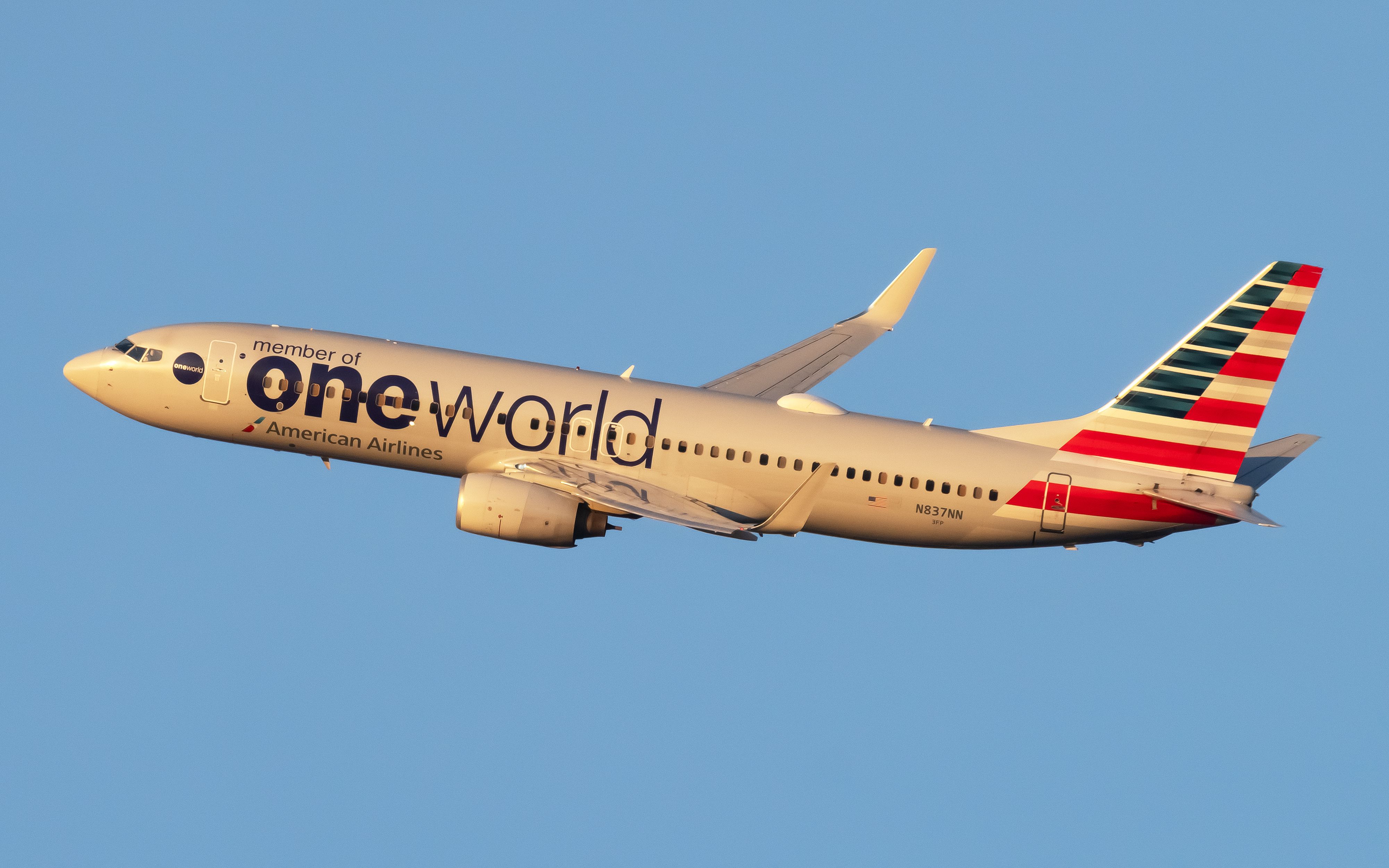 N837nn American Airlines (OneWorld Livery) Boeing 737-823 (3)