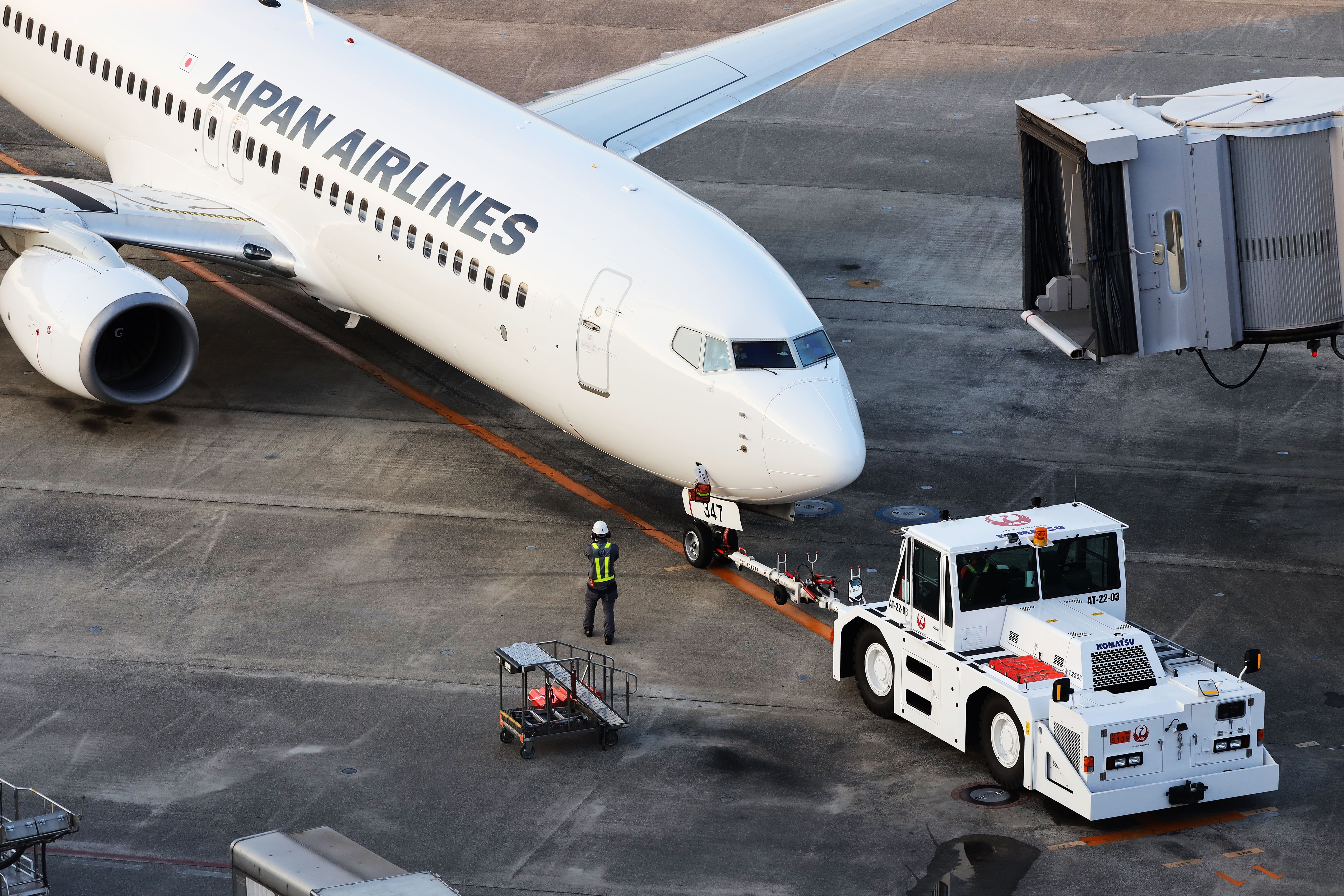 Japan Airlines Boeing 737 Closeup