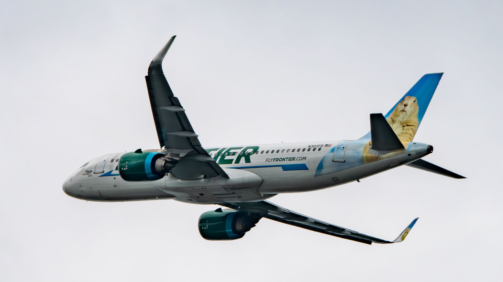 Frontier A320neo Inflight