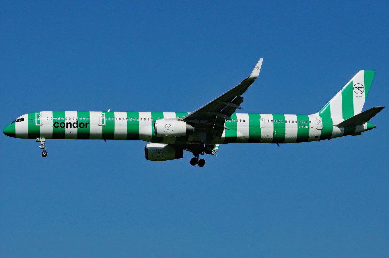 禿鷹757-300 d-abol