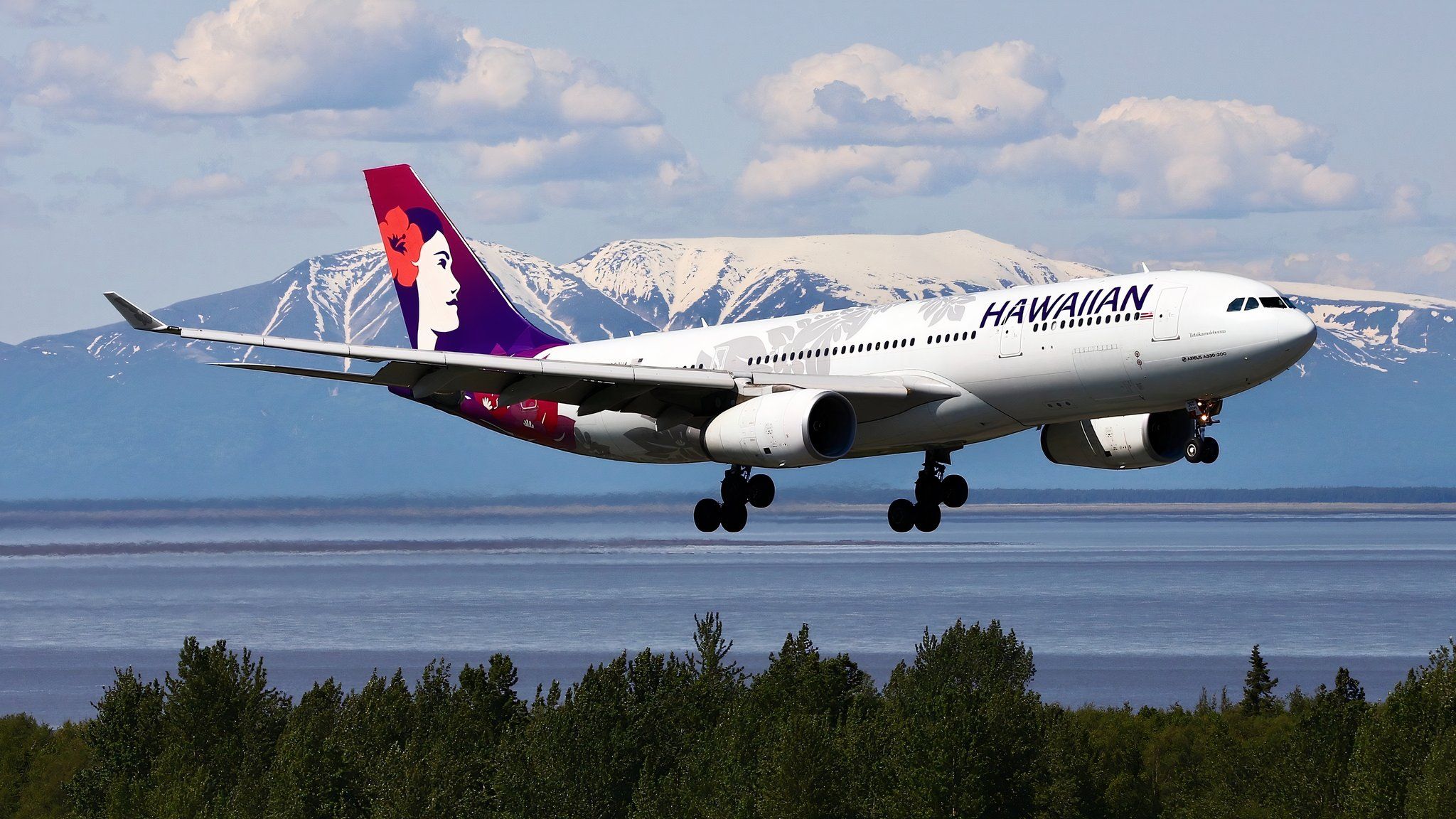 HAWAIIAN AIRLINES A330-200 ハワイアン航空 エアバス Airbus A330