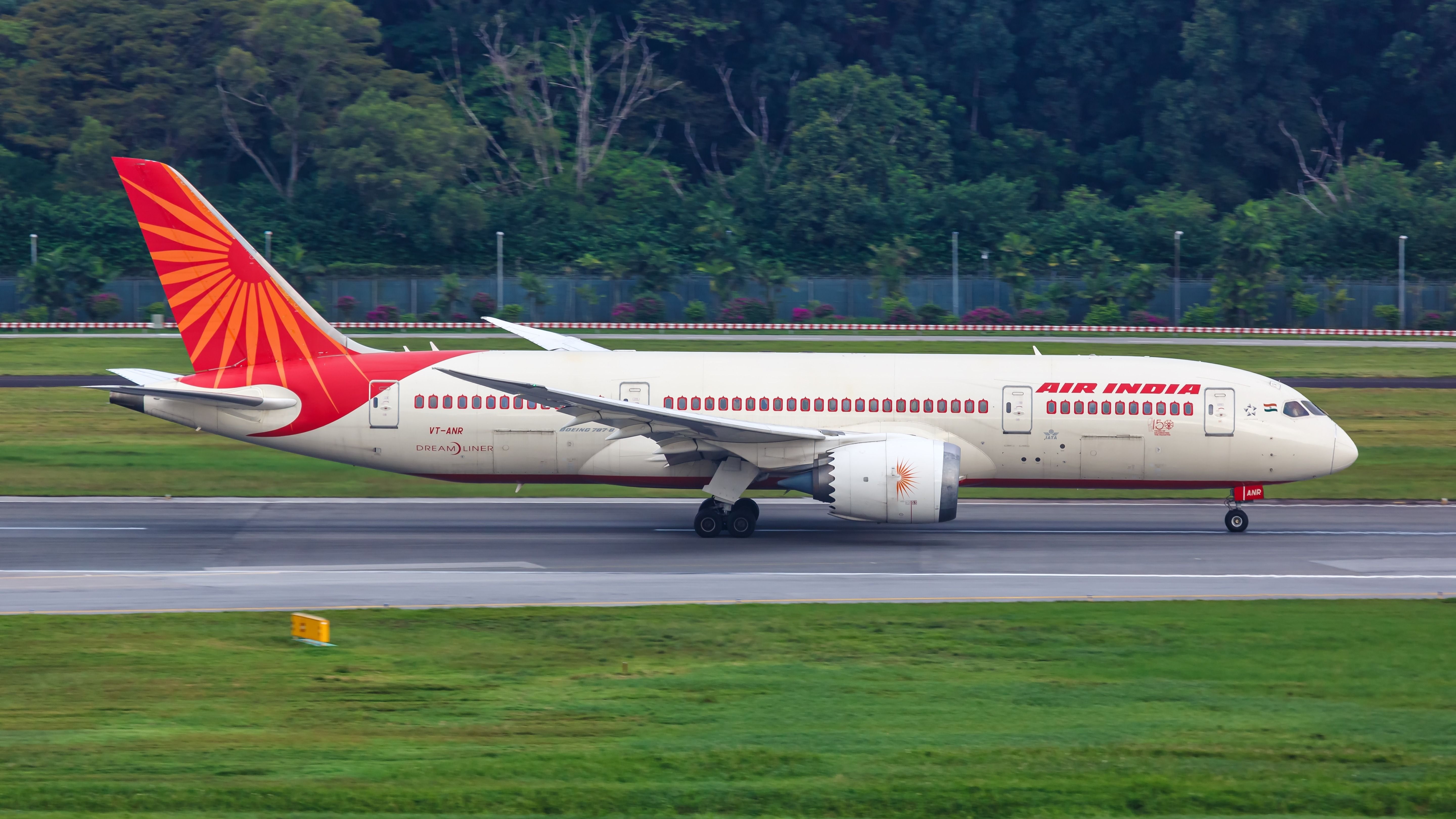 CXA・BOEING-787 DSC_4270L.jpg?v=1749428193&